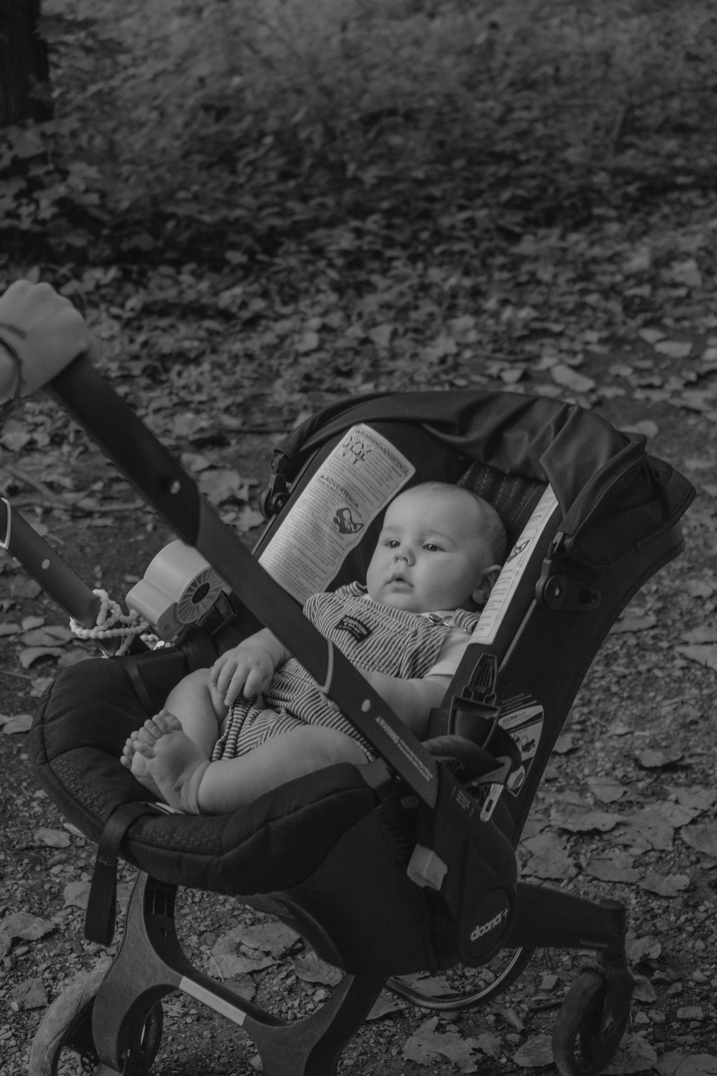 Staley (Five Months)-43.jpg
