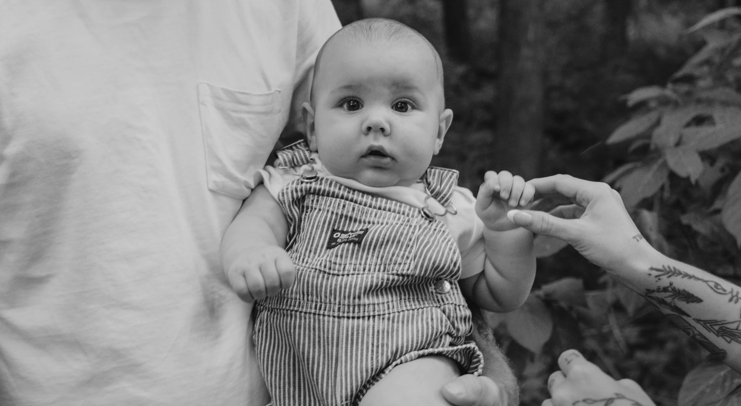 Staley (Five Months)-18.jpg