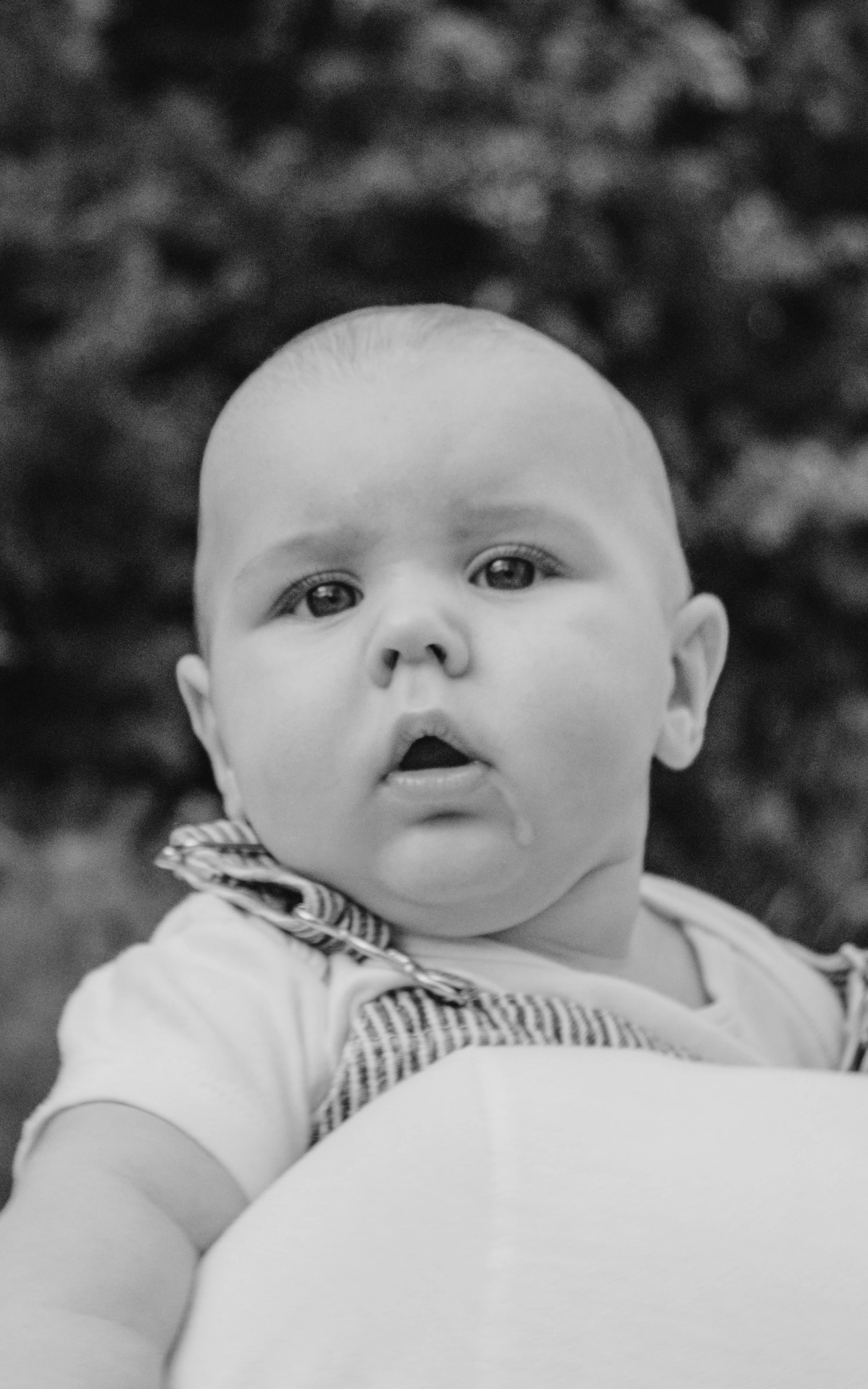 Staley (Five Months)-7.jpg