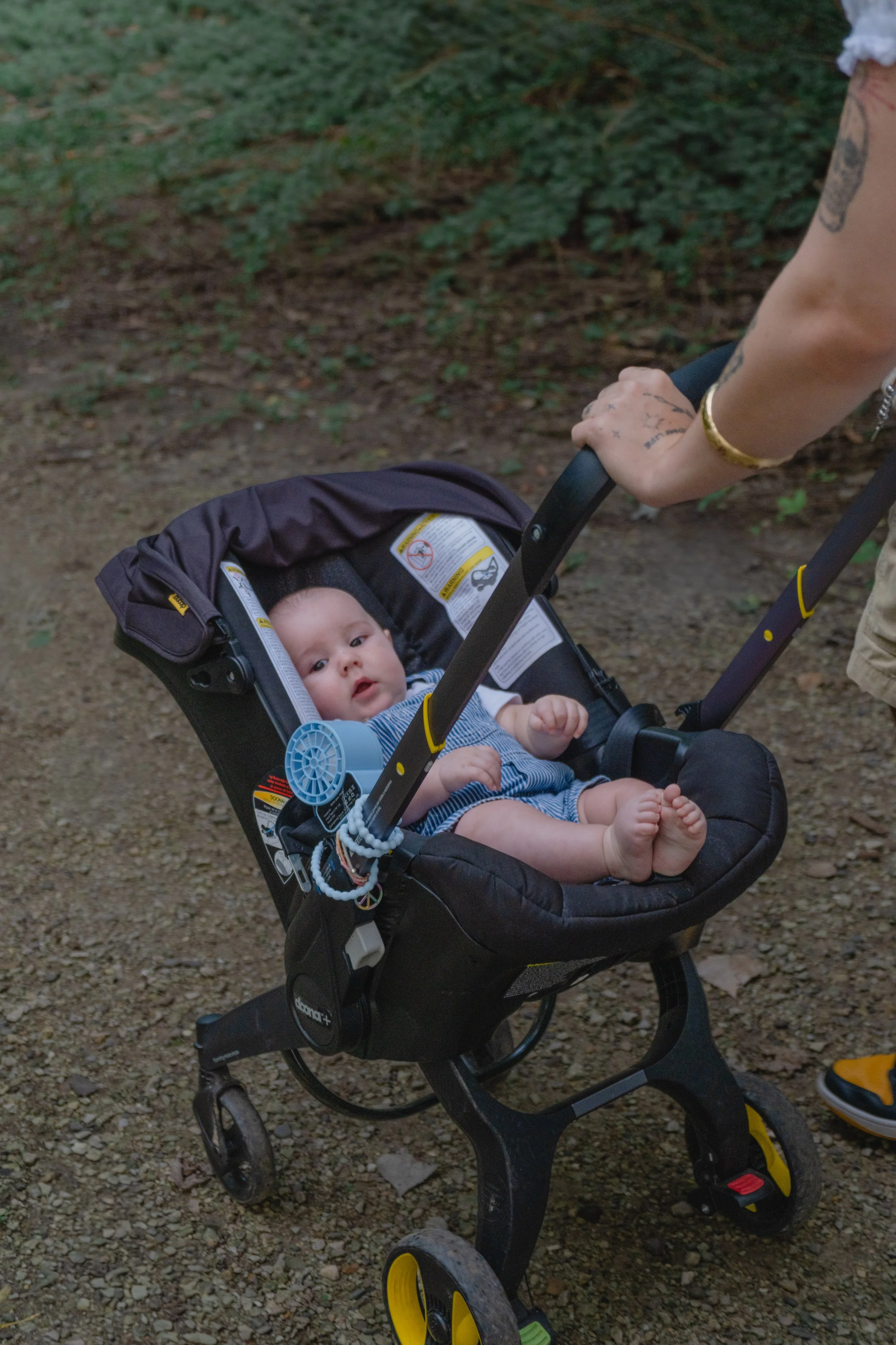 Staley (Five Months)-45.jpg