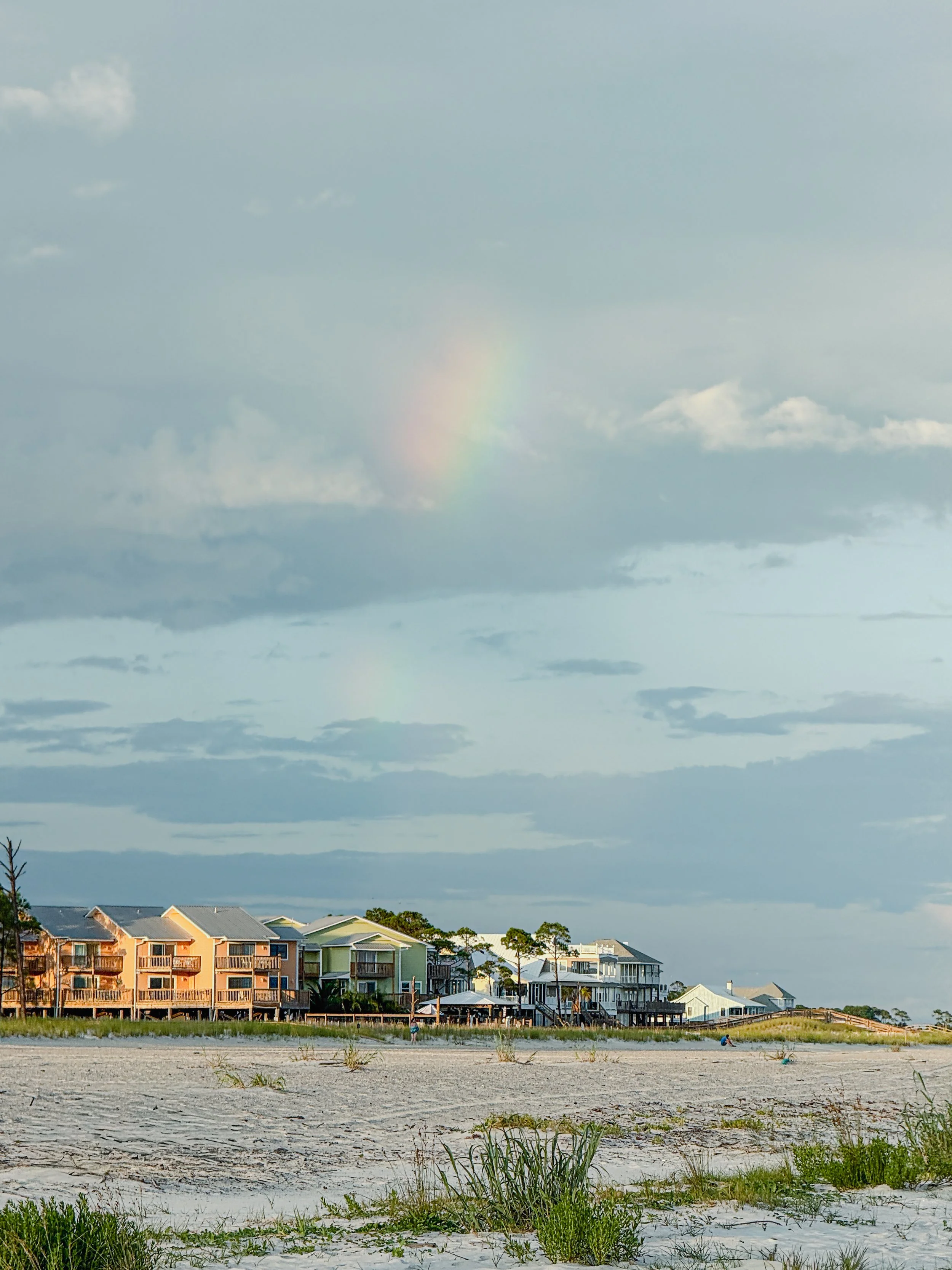 Dauphin Island (2026) -6.jpg