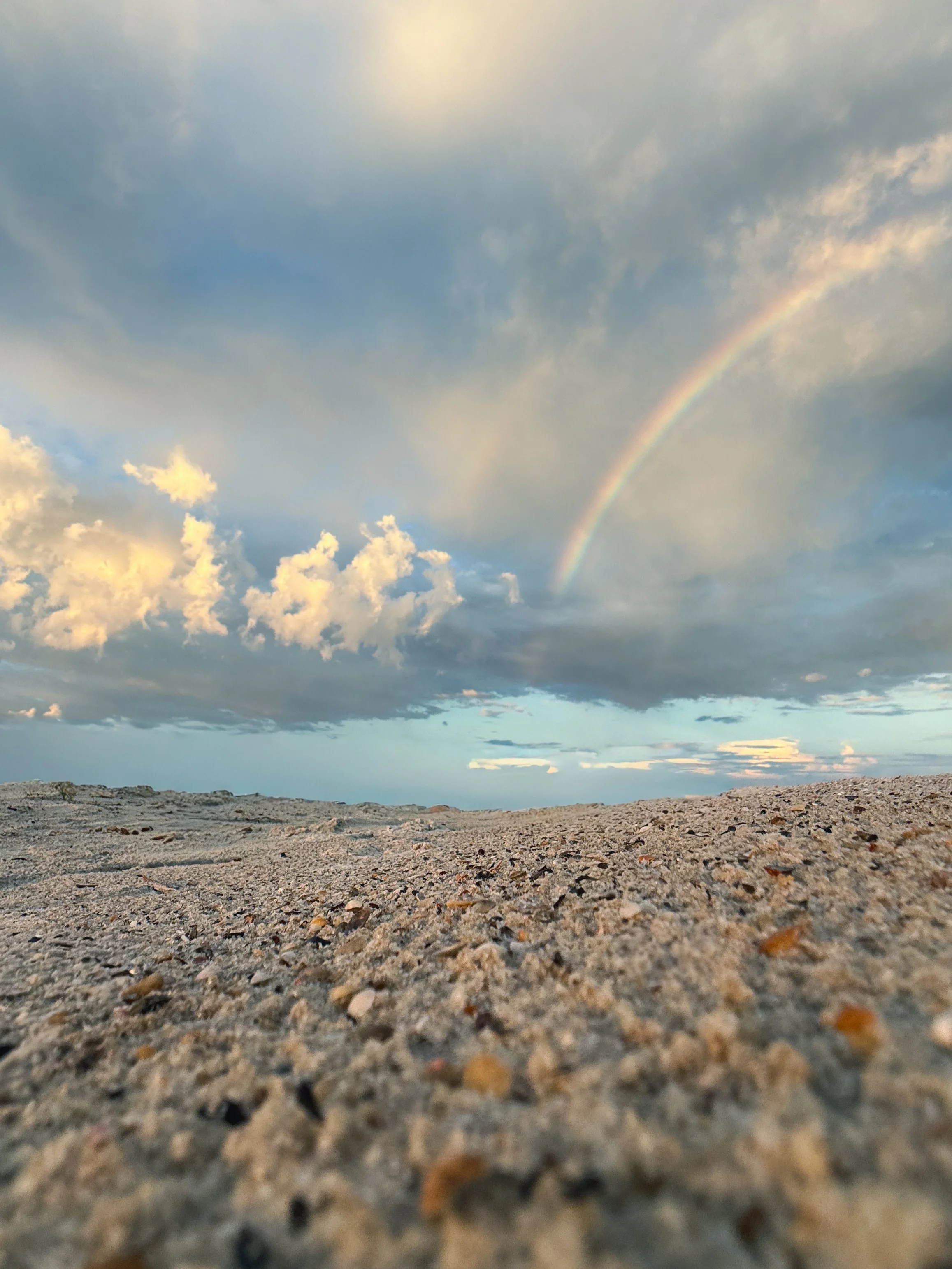 Dauphin Island (2026) -8.jpg