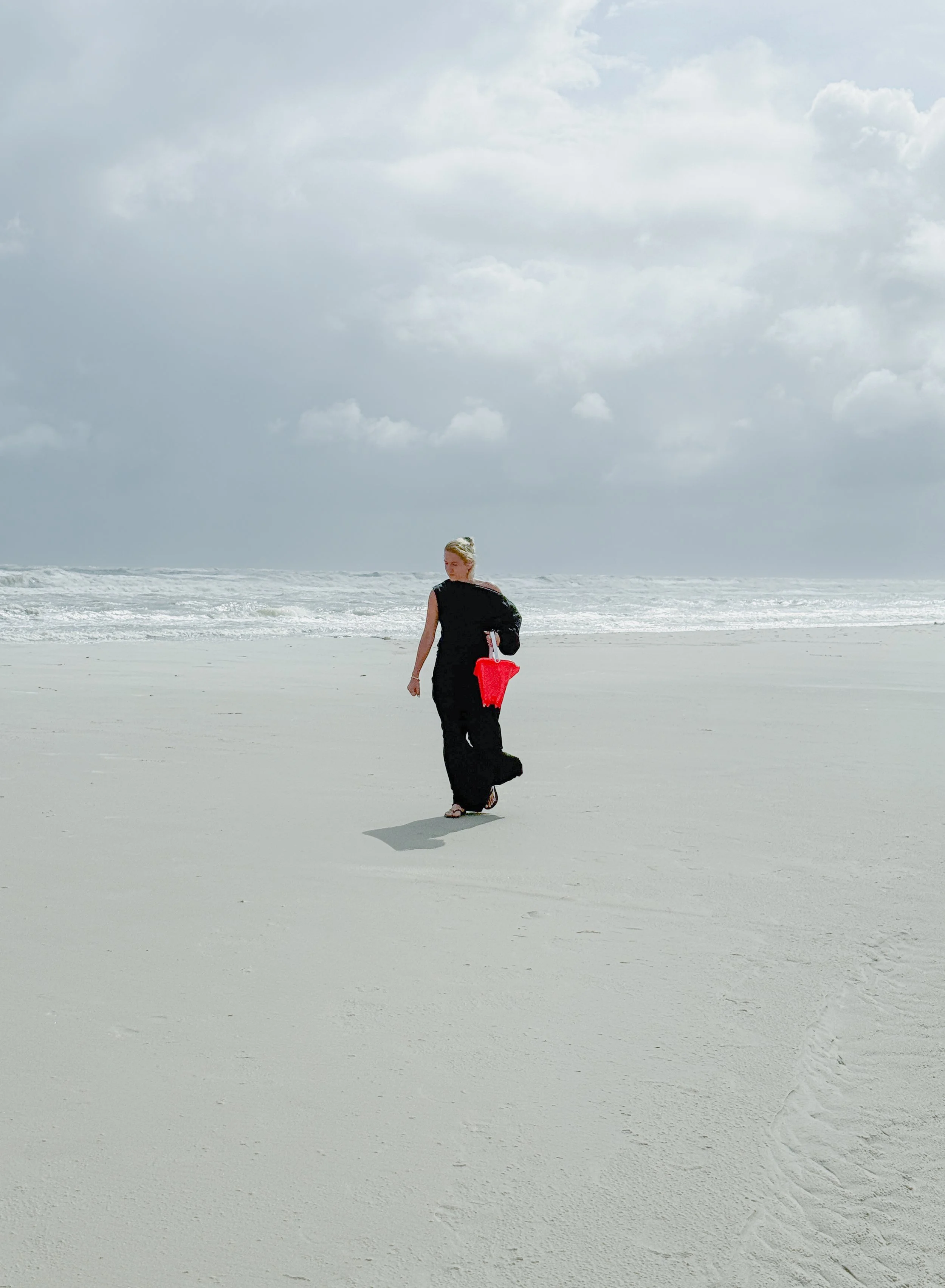 Dauphin Island (2026) -26.jpg