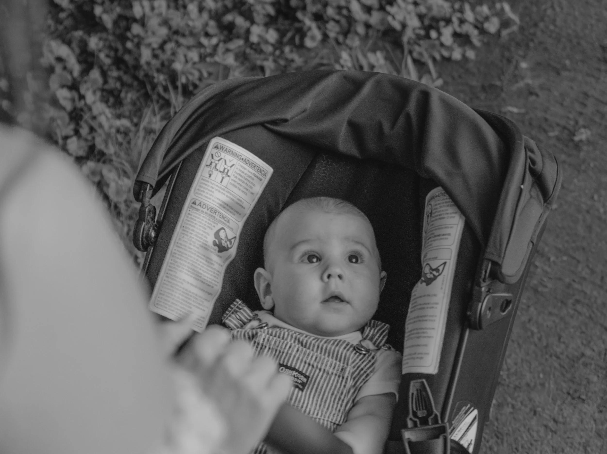 Staley (Five Months)-53.jpg