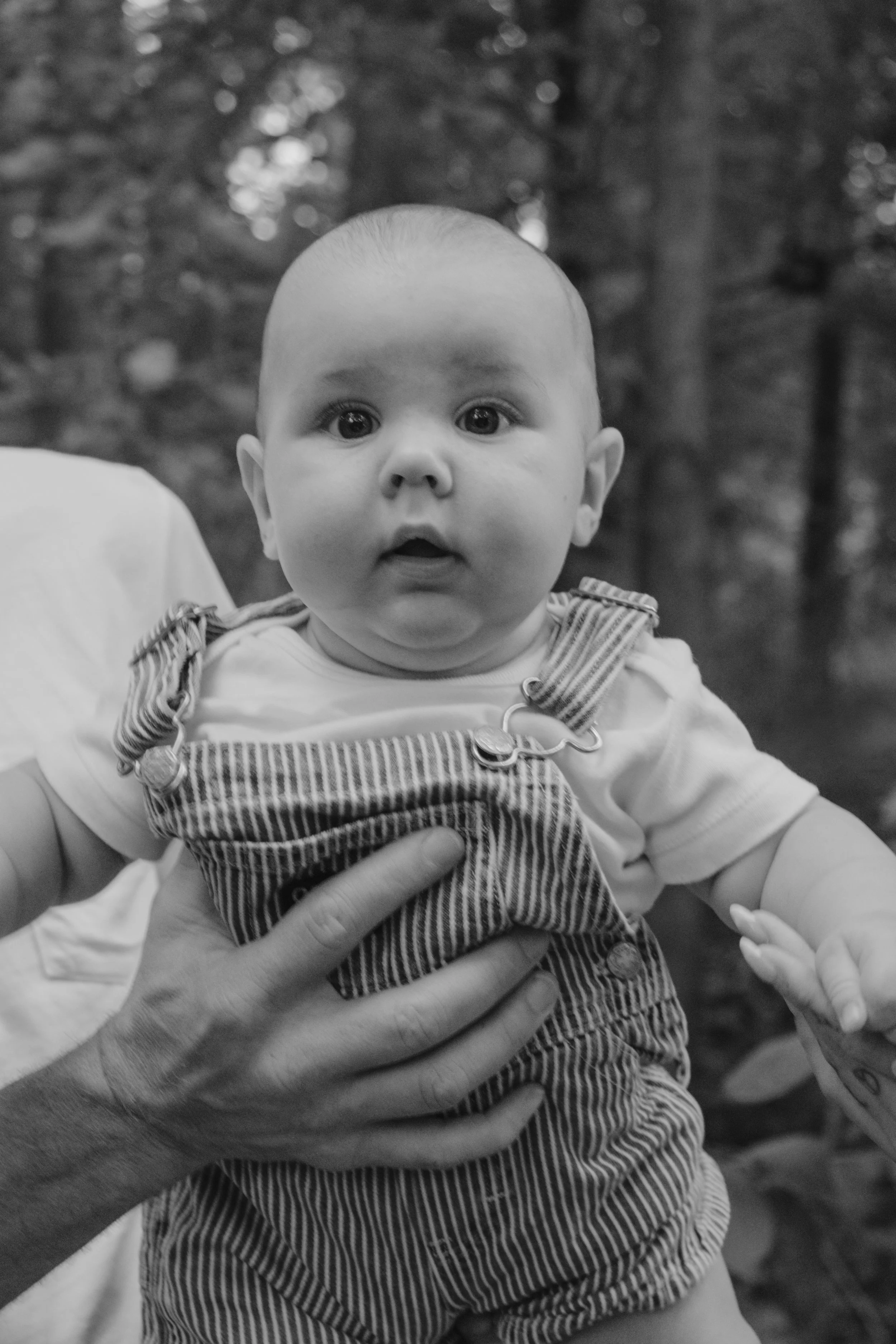 Staley (Five Months)-19.jpg