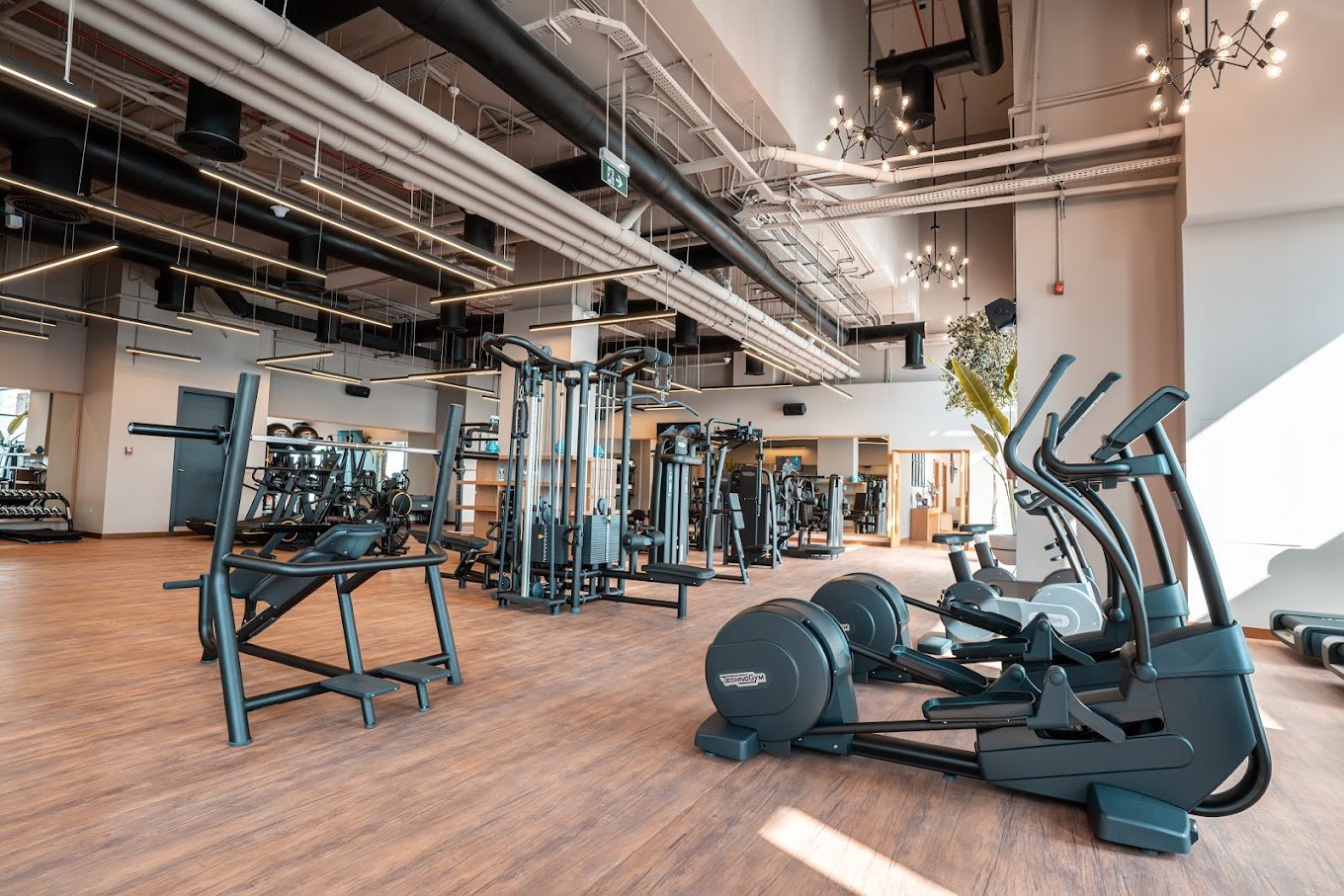 corprate gym space.jpeg