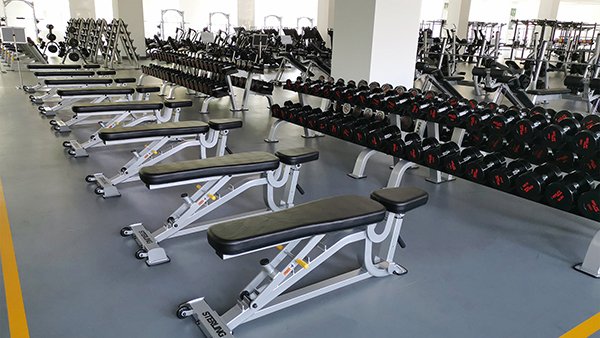 Impulse DB and Benches.jpg