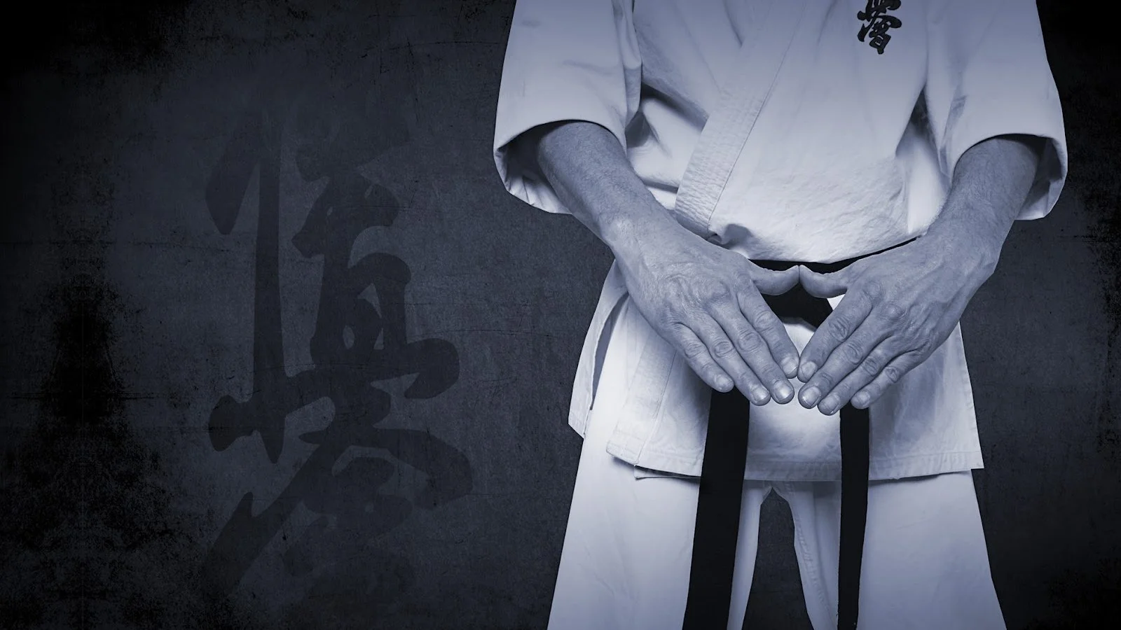 Young Lions Dojo