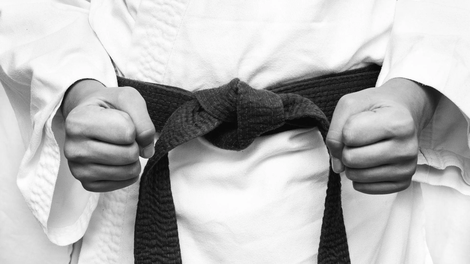 Young Lions Dojo
