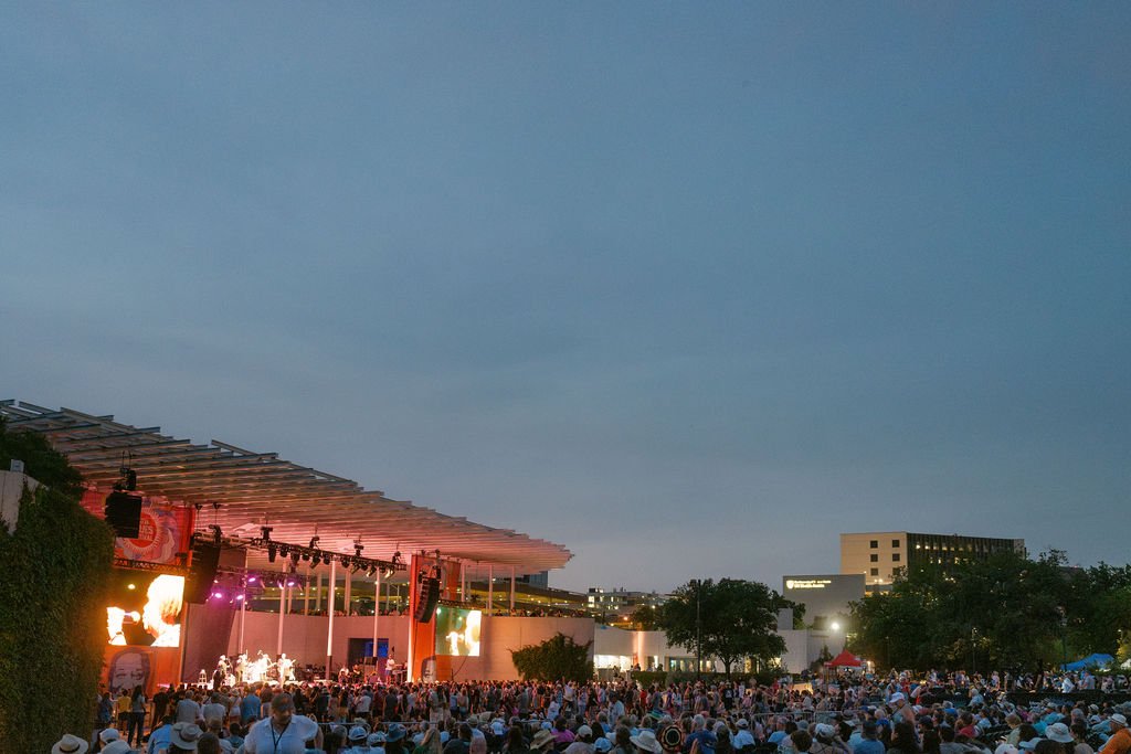 ExperienceForAustinBluesFestByDusana--7.jpg