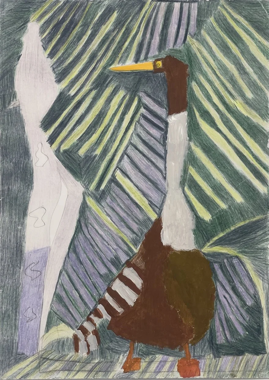 Caroline Mathieson_A darler snake bird 2017.jpeg