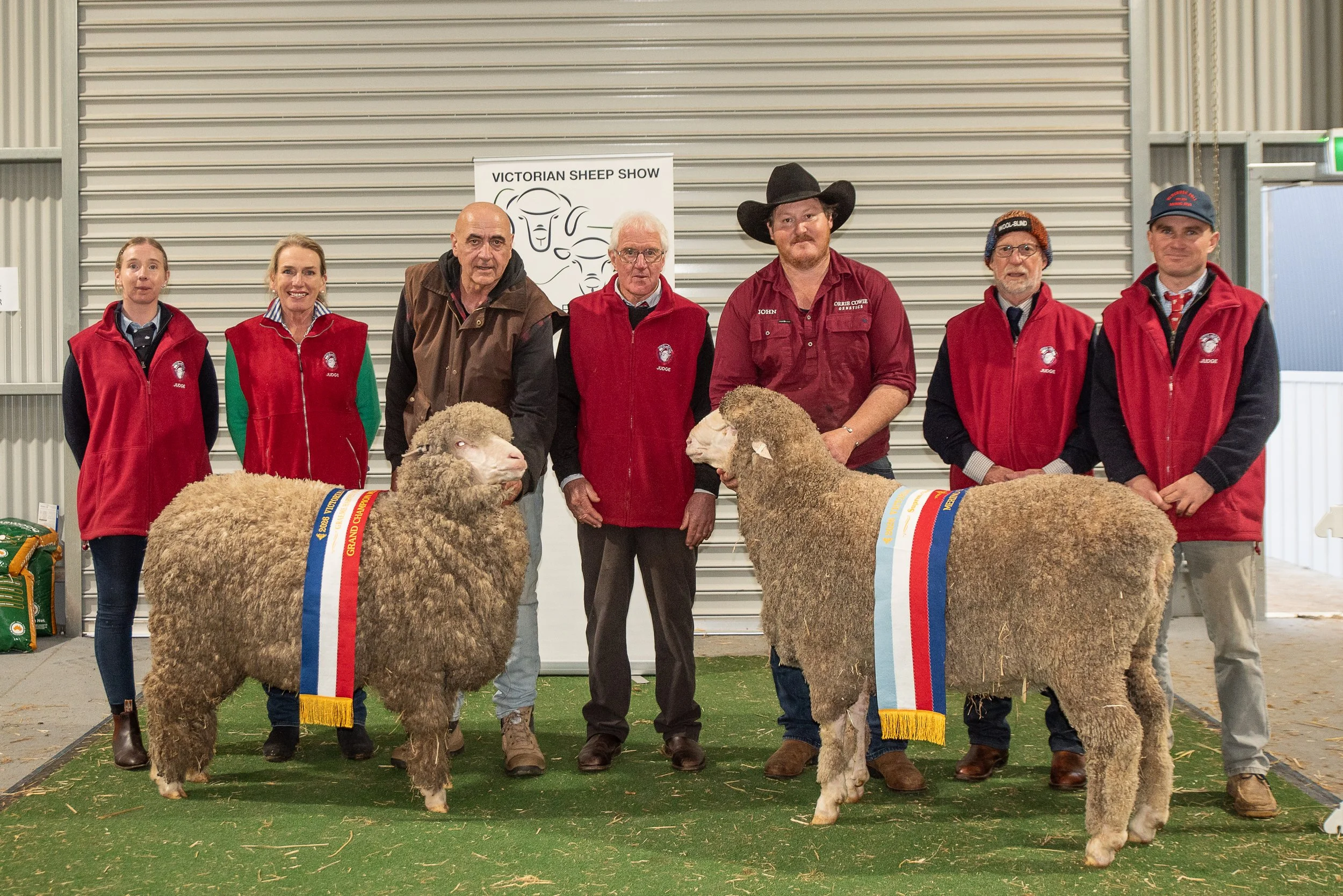 Winners during breed judging at the 2026 Victorian Sheep Show, hosted by the Ballarat Agricultural and Pastoral