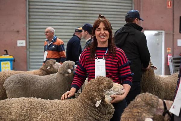 Merino Sheep and Dedicated Handler