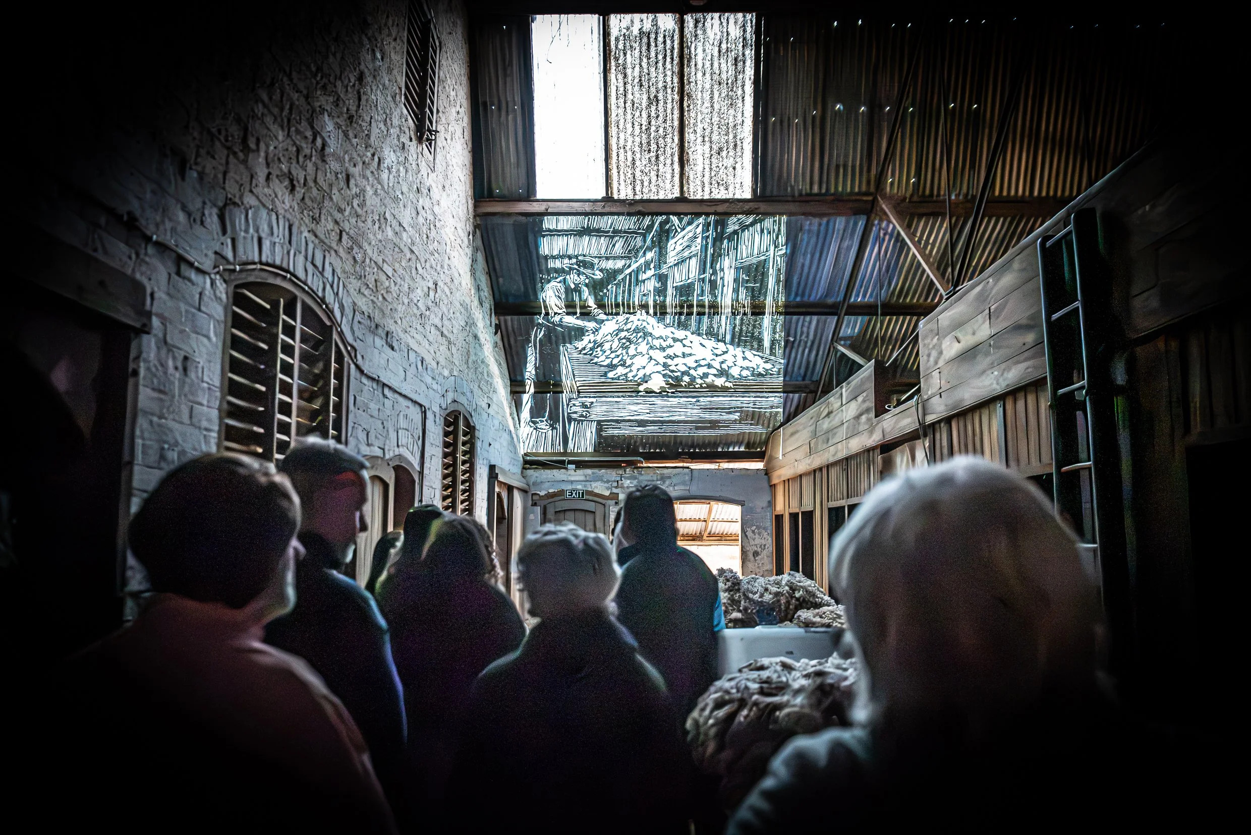 Woolshed 2026small2.JPG