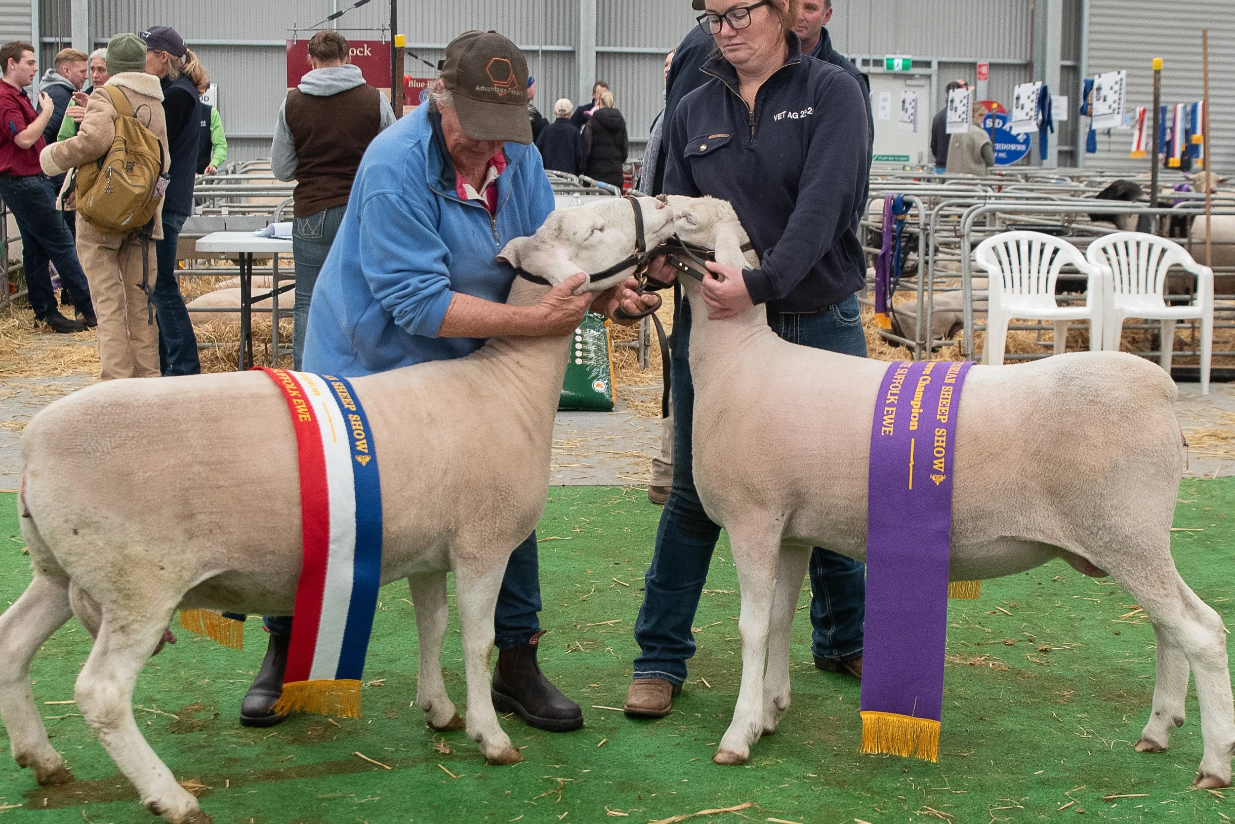 Happy winners at the 2026 Victorian Sheep Show in Ballarat