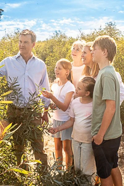 Eucalyptsmall.JPG