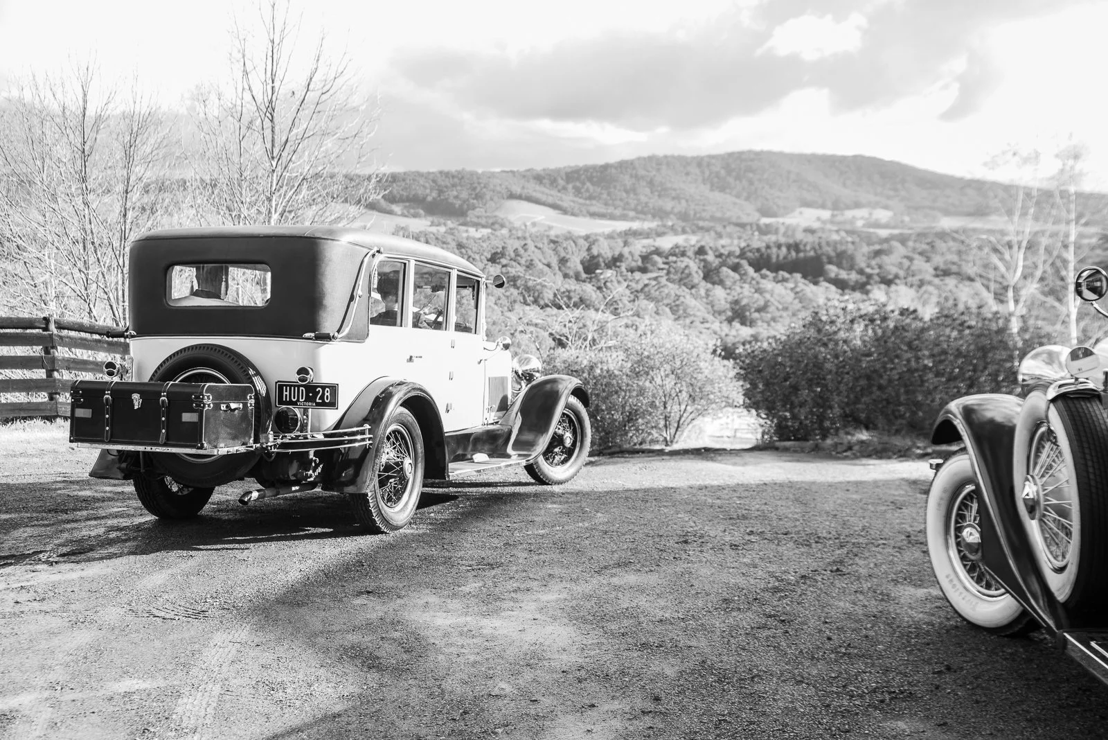 Treasure and Bradley-116.JPG