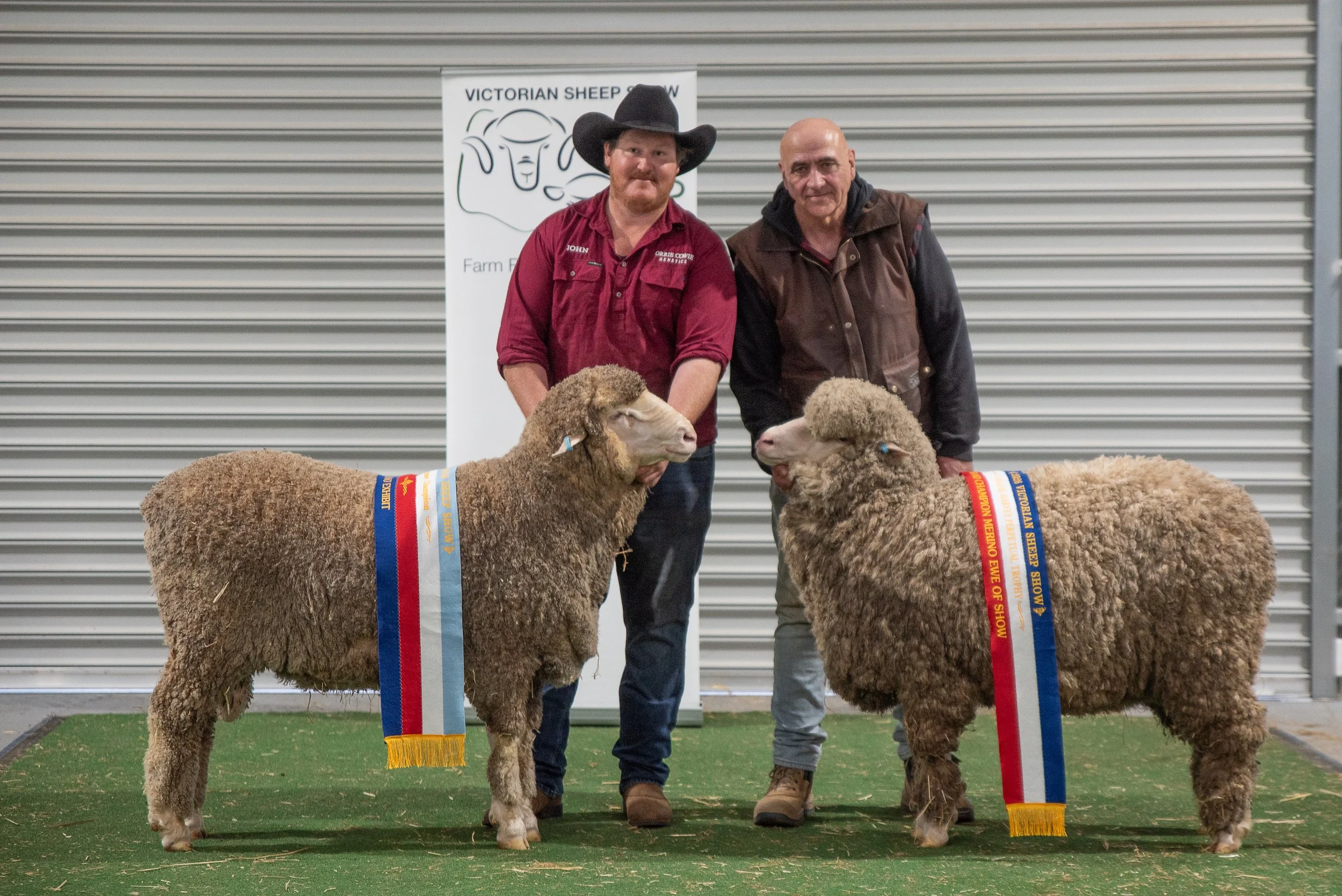 winner and runner up at the 2026 Victorian Sheep Show in Ballarat