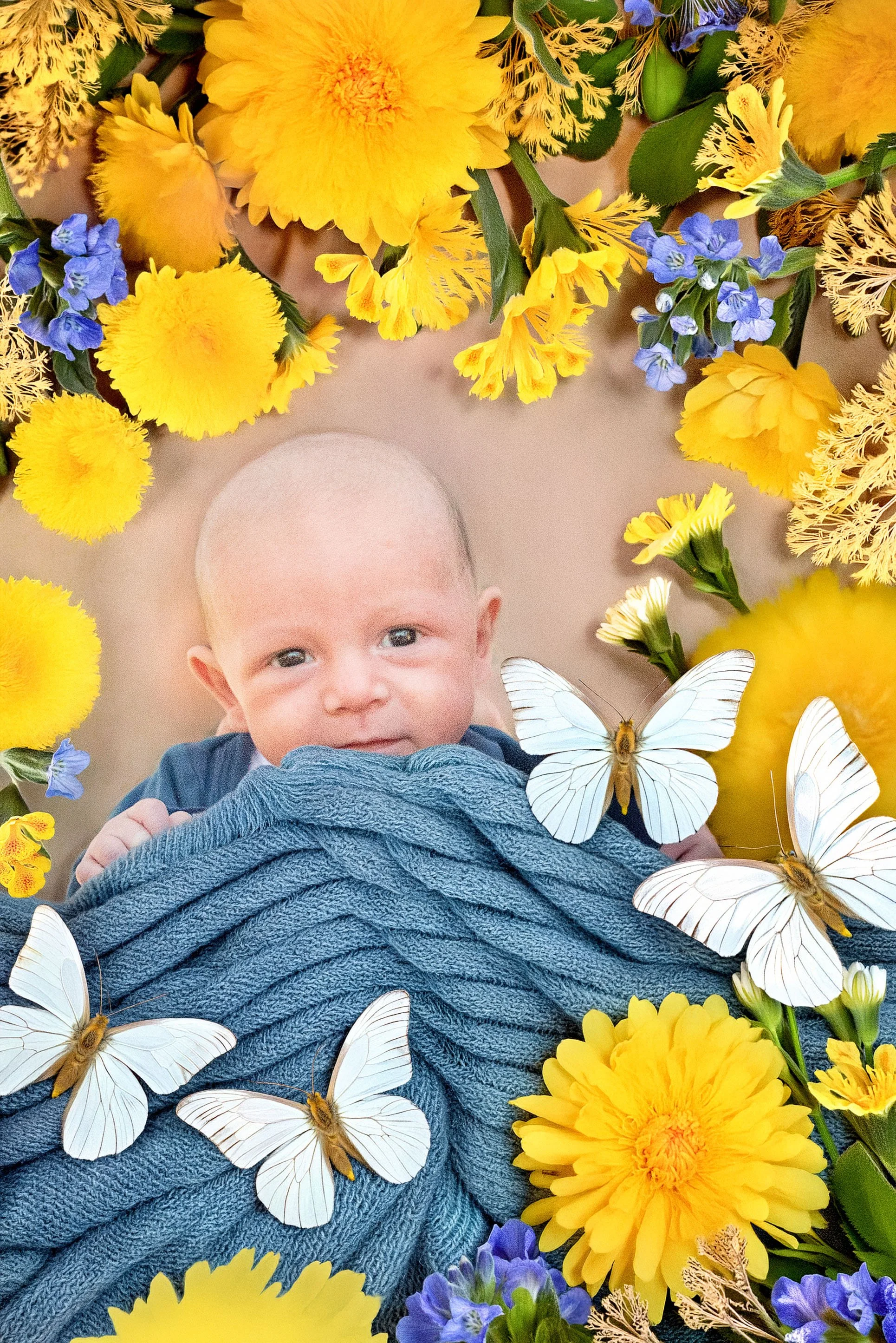 Noahs family-68 copy.jpg