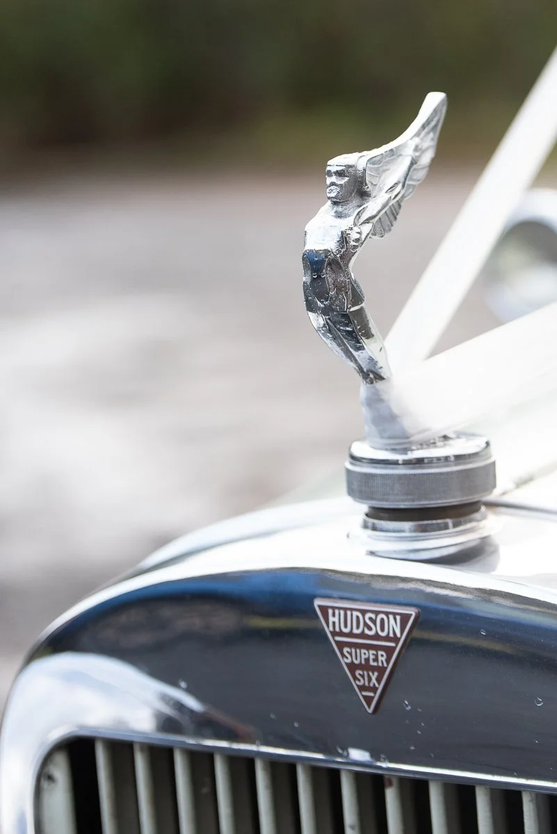 Treasure and Bradley-60.JPG