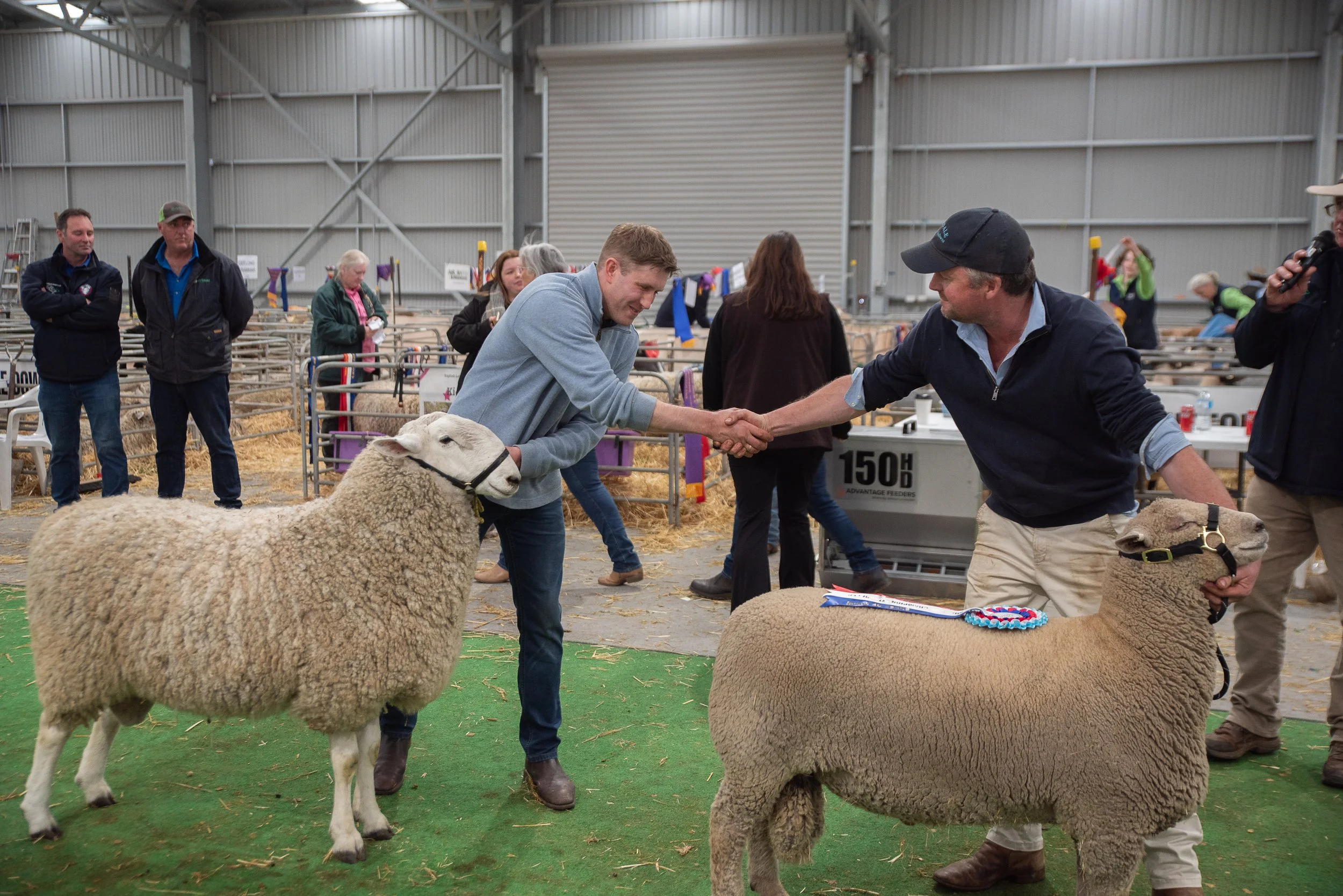 winners congratulating each other at the 2026 Victorian Sheep Show in Ballarat