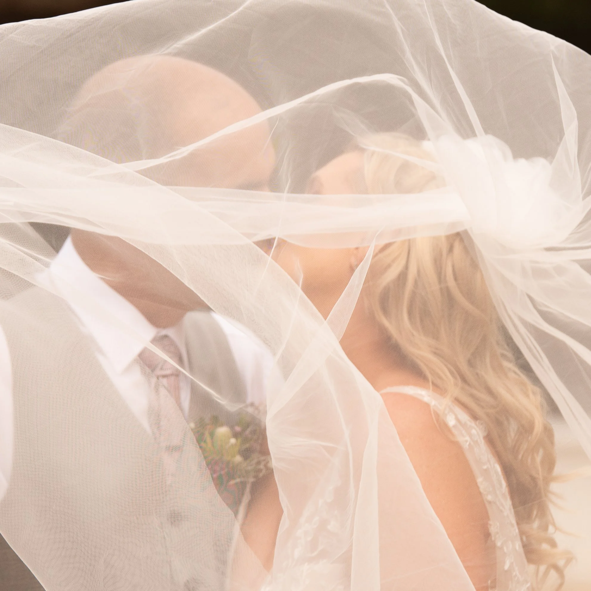 Alice and Ant-342.JPG