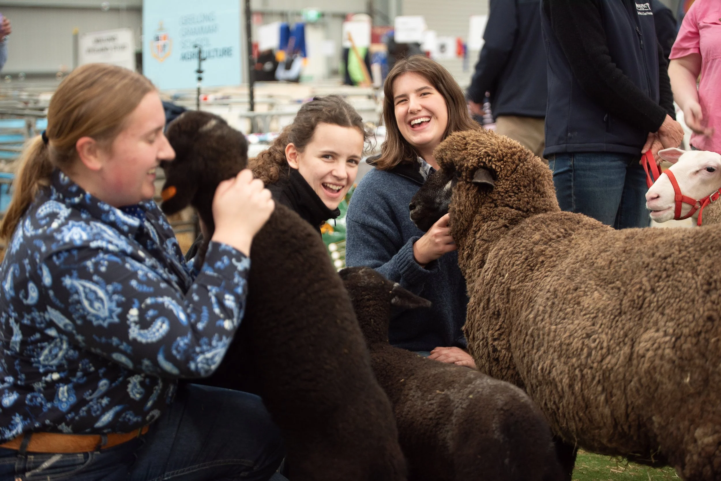 Futire sheep breeders at the 2026 Victorian Sheep Show in Ballarat
