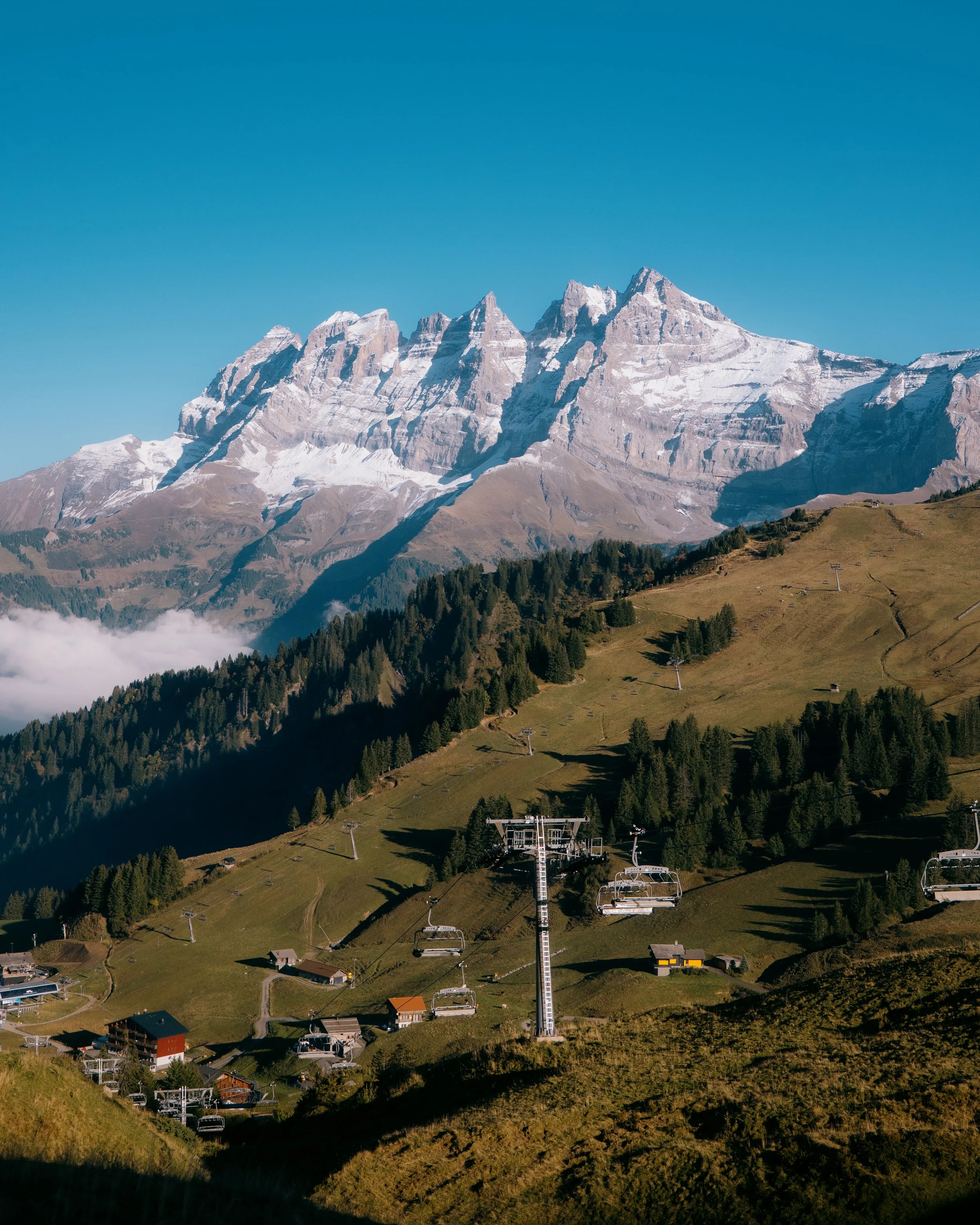 P1867925-1.jpg