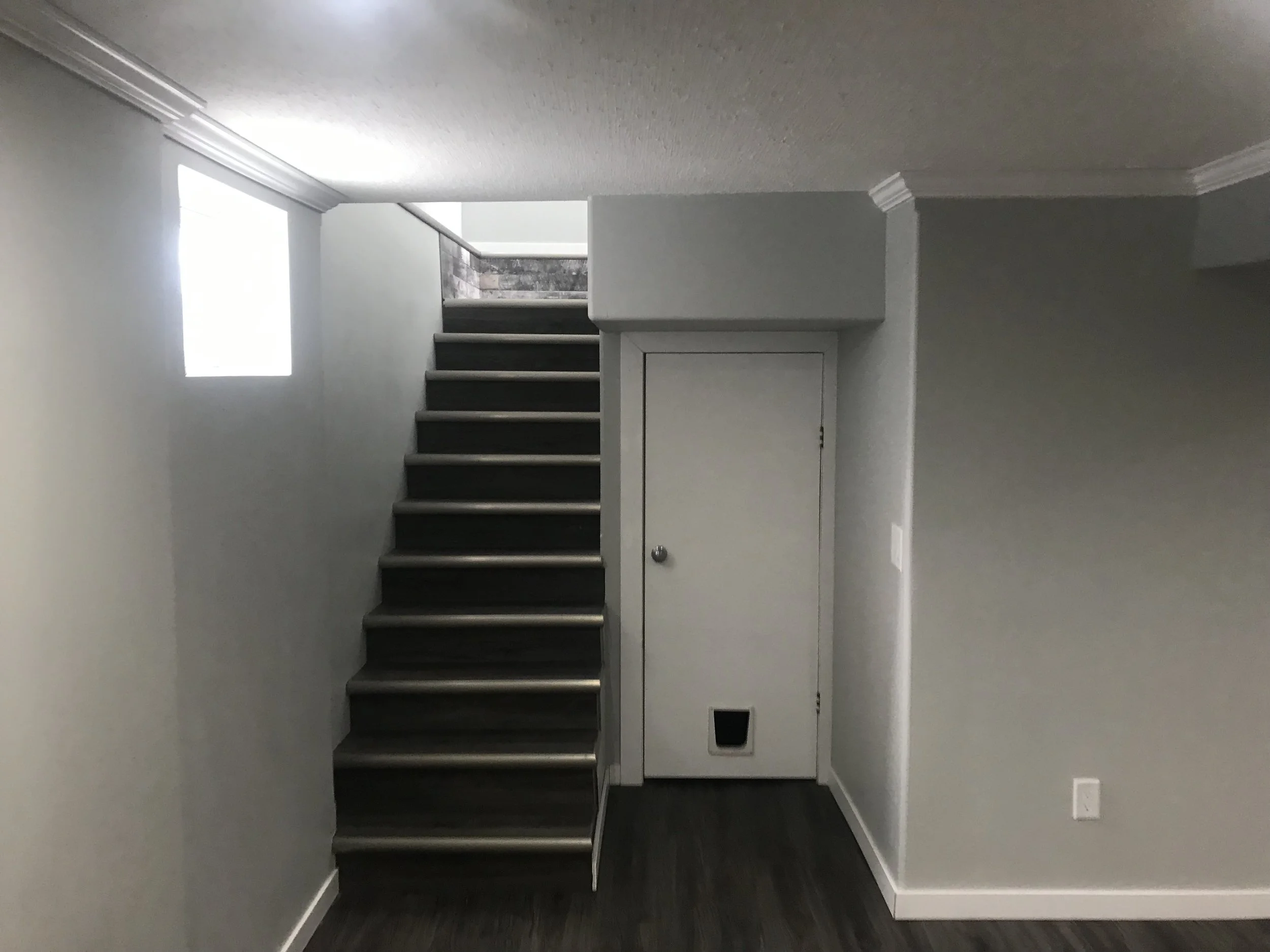 Basement Reno