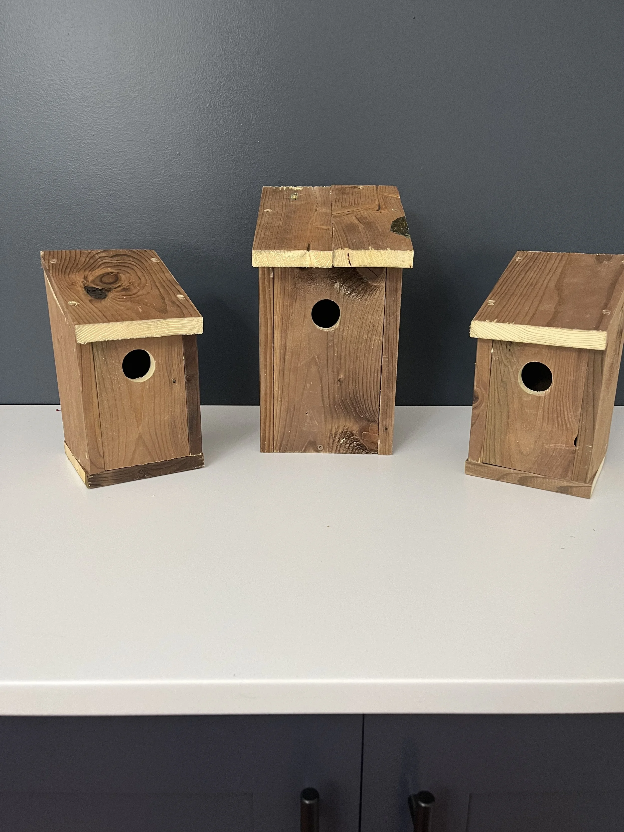 Bird Houses