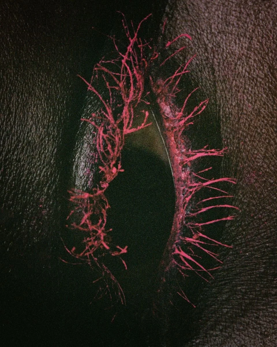 Surface tension web res edits-8423_1.jpg