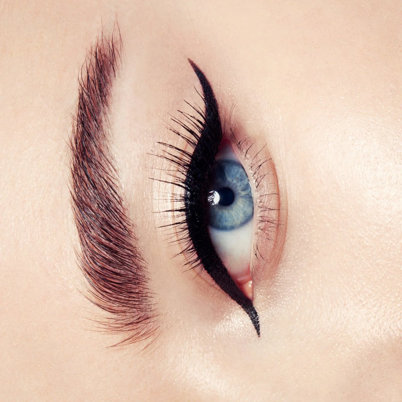 Bianca Hartkopf tumblr_13b0fac5c07ffd1801d498c5a17f85d1_f4f4ce49_1280.jpg