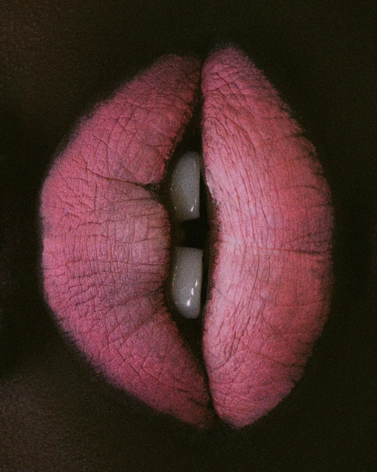 die kunst analog to edit-8424-3_v1_1.jpg