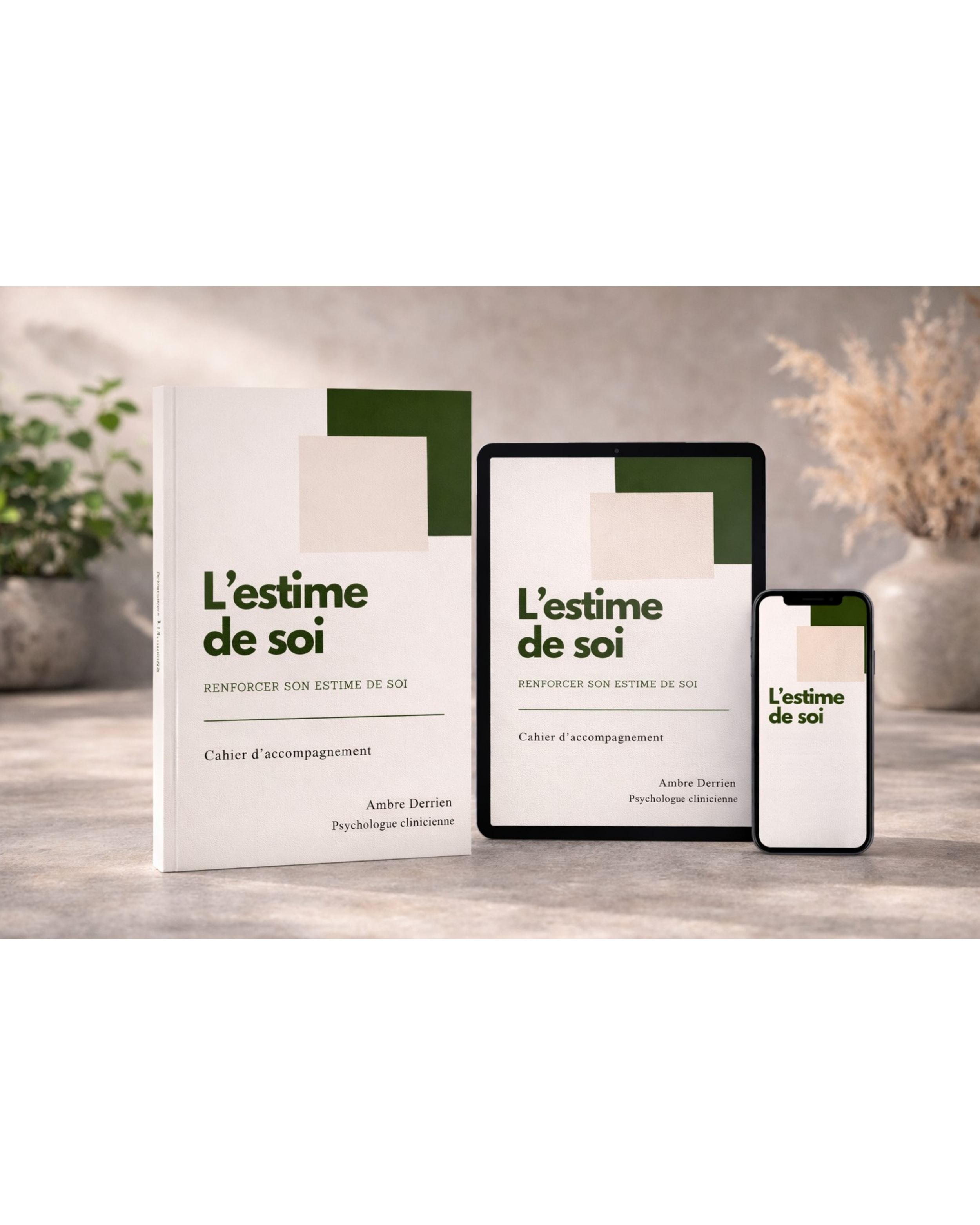 Programme -  Estime de soi (Version numérique)