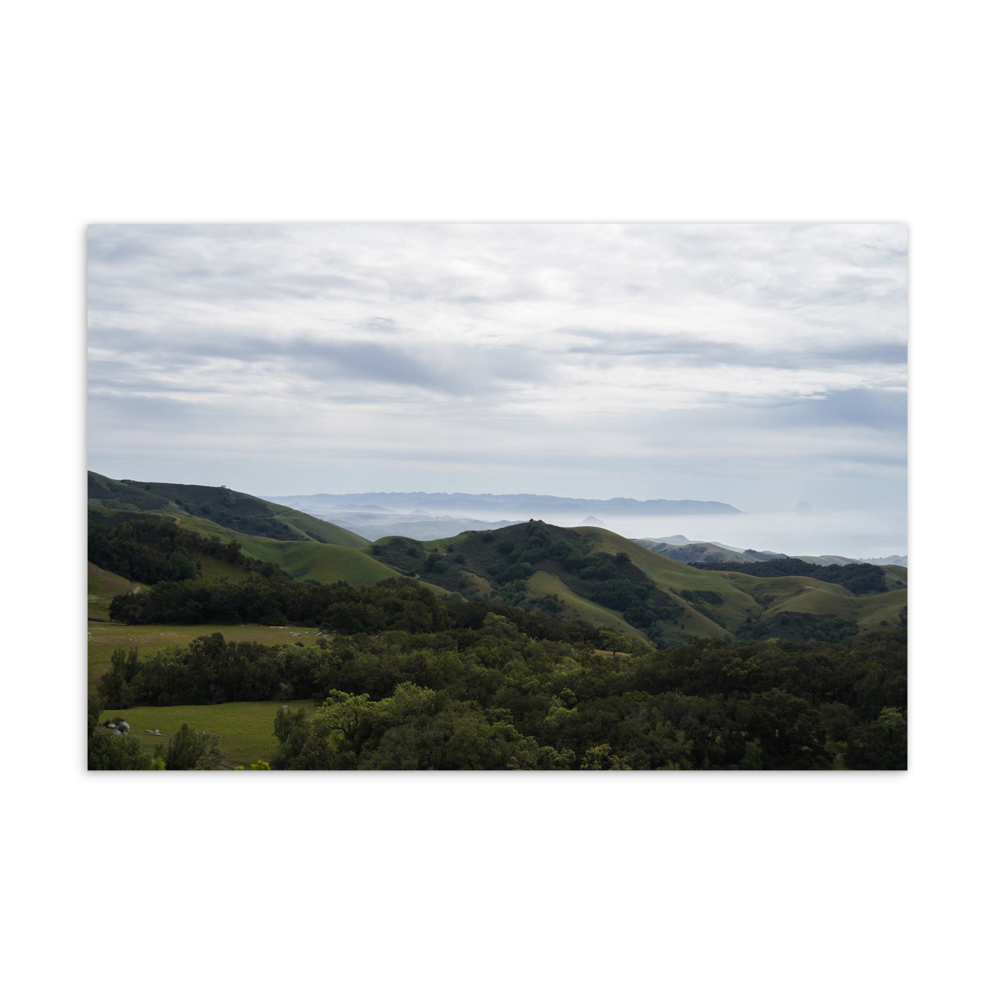 standard-postcard-4x6-front-6810ebd2e0f91.jpg