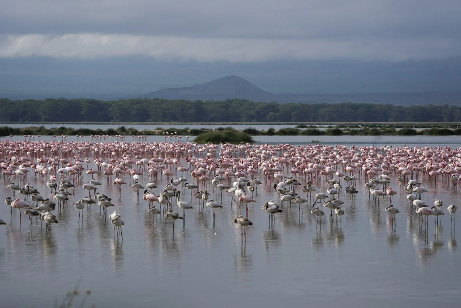 8 Life Lessons I Didn’t Expect to Learn on Safari