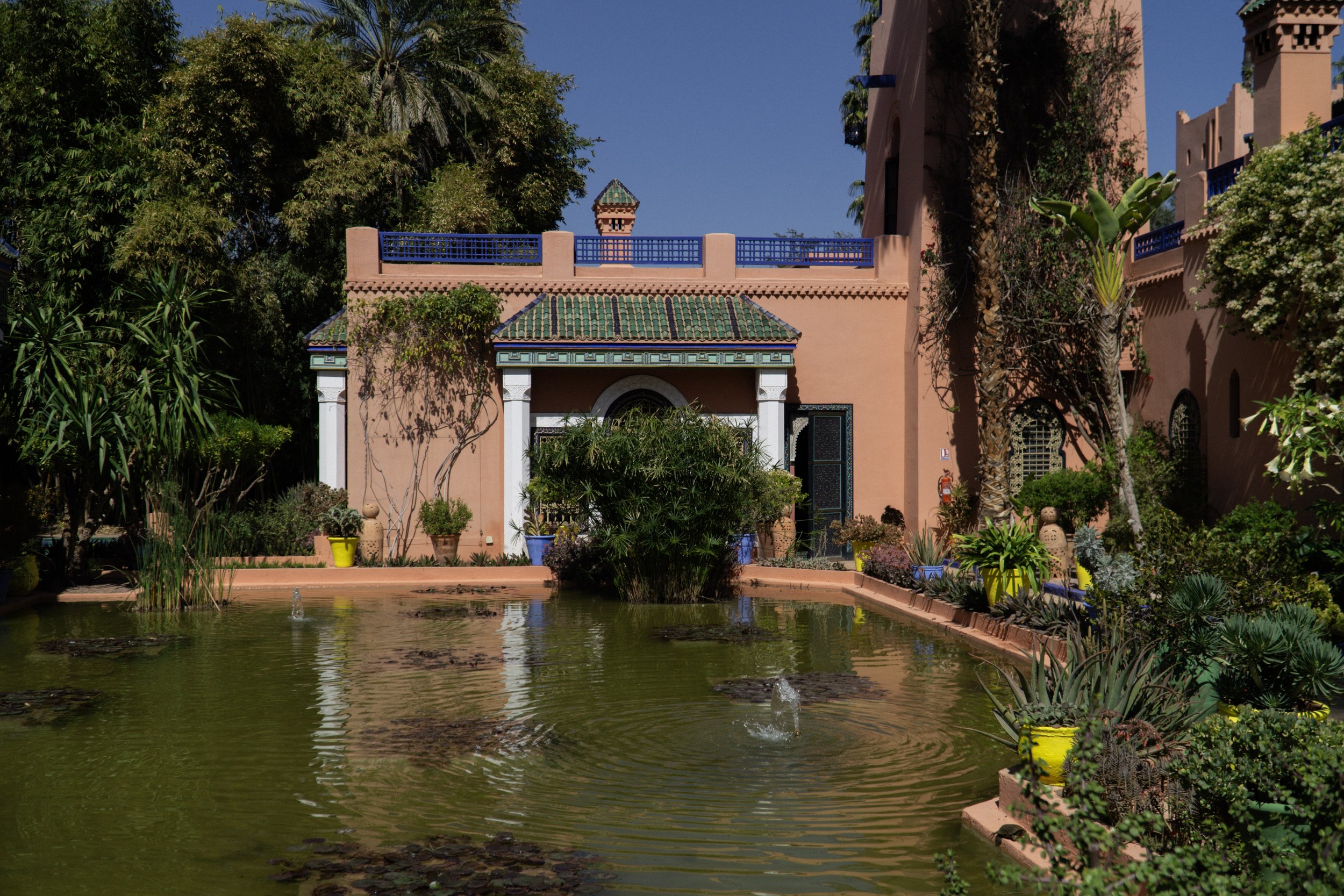 Color, Fashion, and Marrakech: Jardin Majorelle &amp; The YSL Museum