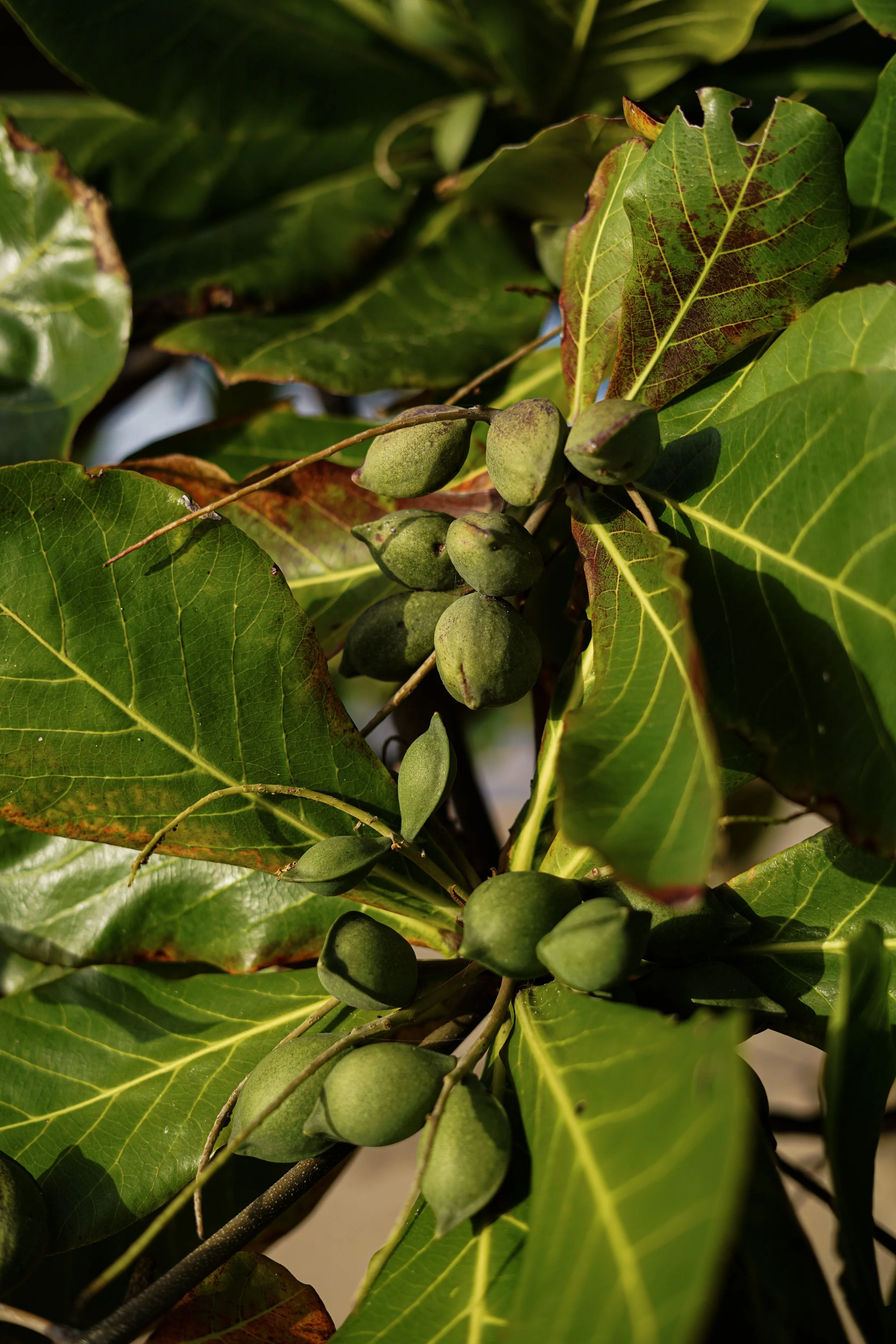 Puerto Rico, As I Saw It | Photo Journal 