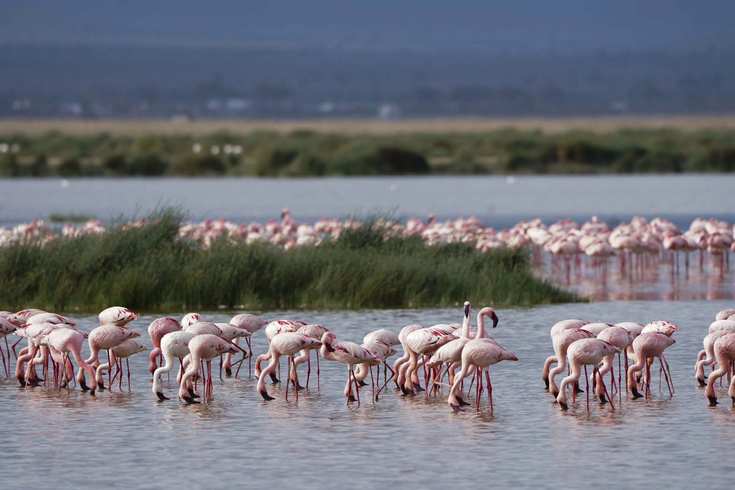 10 UNESCO World Heritage Sites You Can Visit Solo (And How I Booked Them)