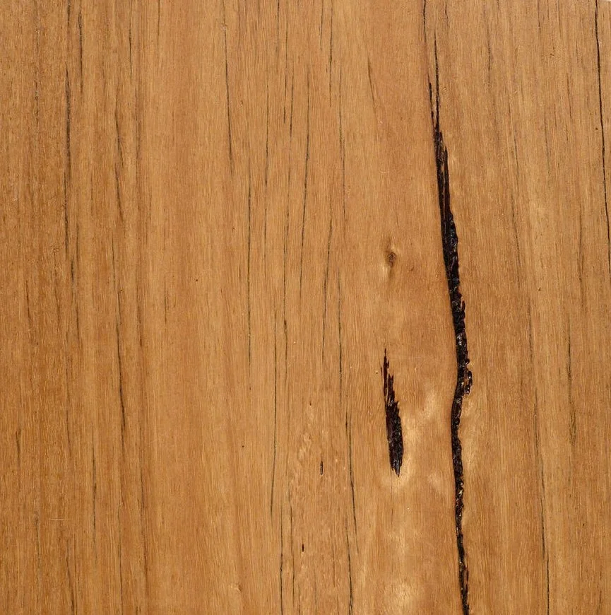 18 Footers Light Spotted Gum | Hard wax oil