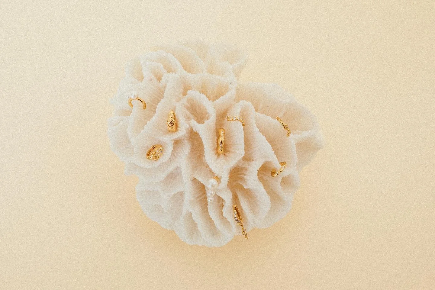 I really enjoyed creating these images. Playing with the use of the corals and the flowers to compliment the beautiful earrings by @the.earring.shop 🪸🌸💗 

#earrings #jewellery #danskesmykker #dansksmykkekunst #&oslash;reringe #oceaninspired