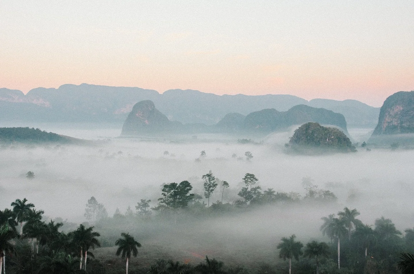 Throwback to the Vi&ntilde;ales Valley where I met Chicho and some other really cool cowboys. 

Chicho was this 6 year old character that spoke the dirtiest Cuban slang you can imagine 🤣❤️

Maybe you can recognize the person that sneaked in at the l