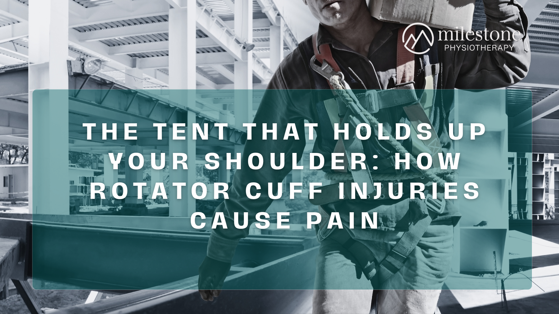 The Tent That Holds Up Your Shoulder: How Rotator Cuff Injuries Cause Pain