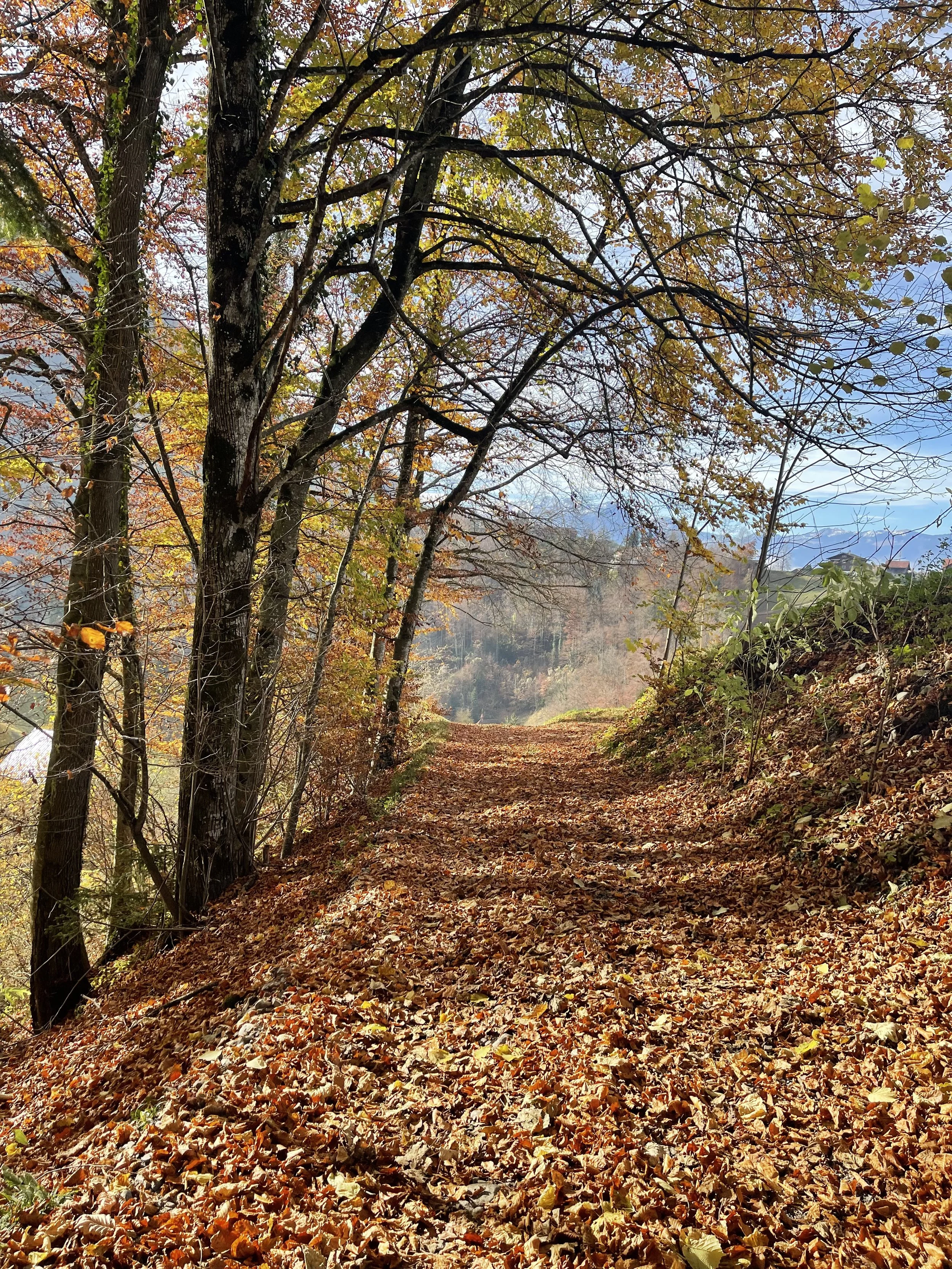 When a smile saves the day.