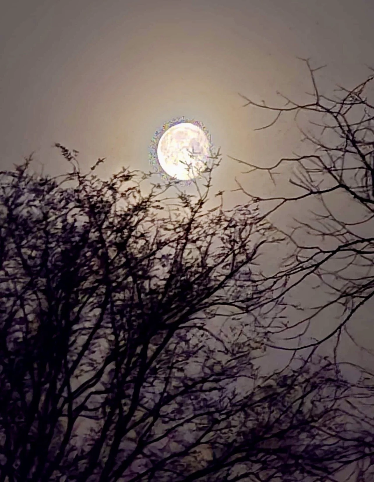 When energy feels heavy – How Reiki can bring you back into balance