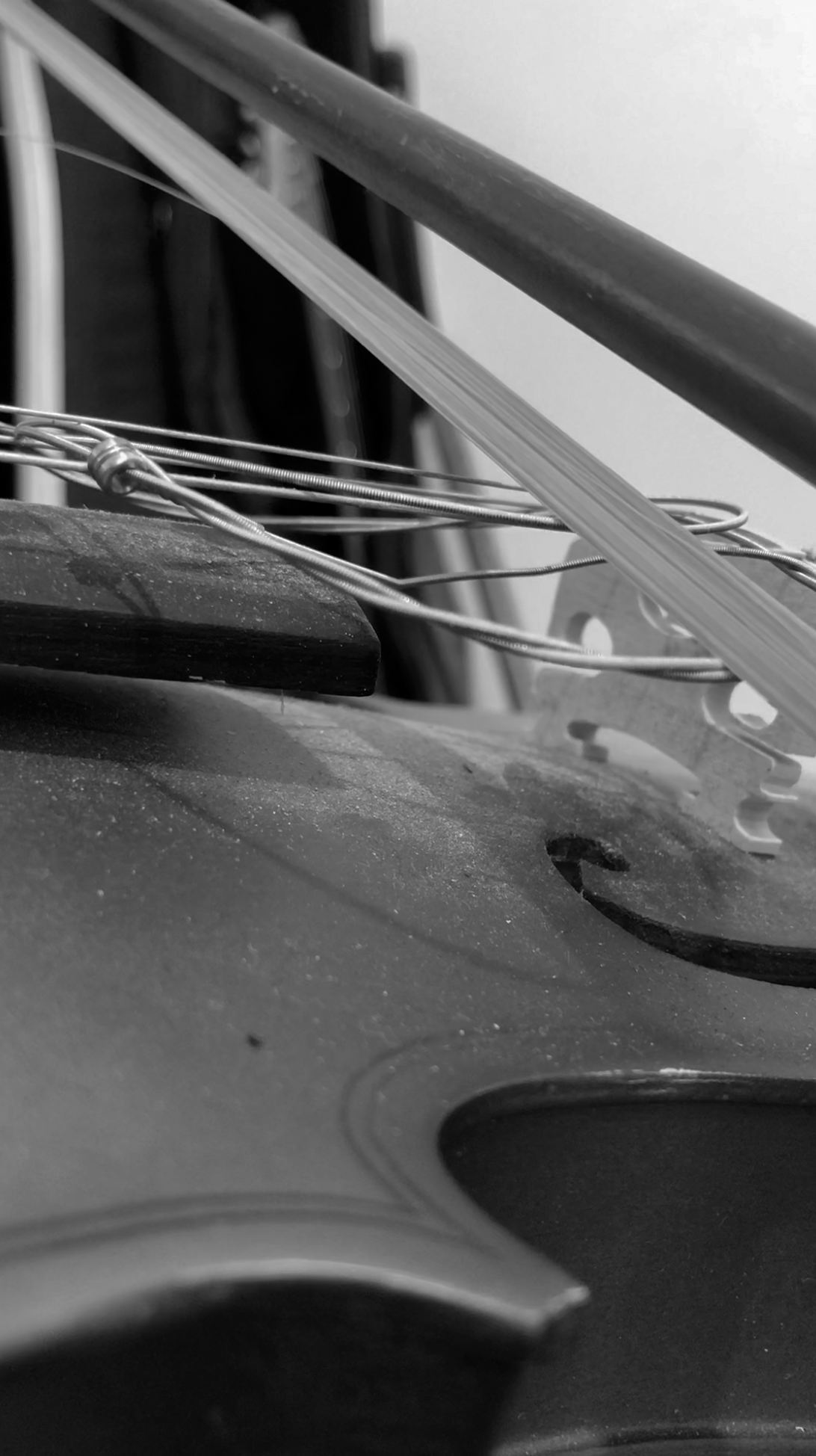 Ra violin:cello extra strings A5.png