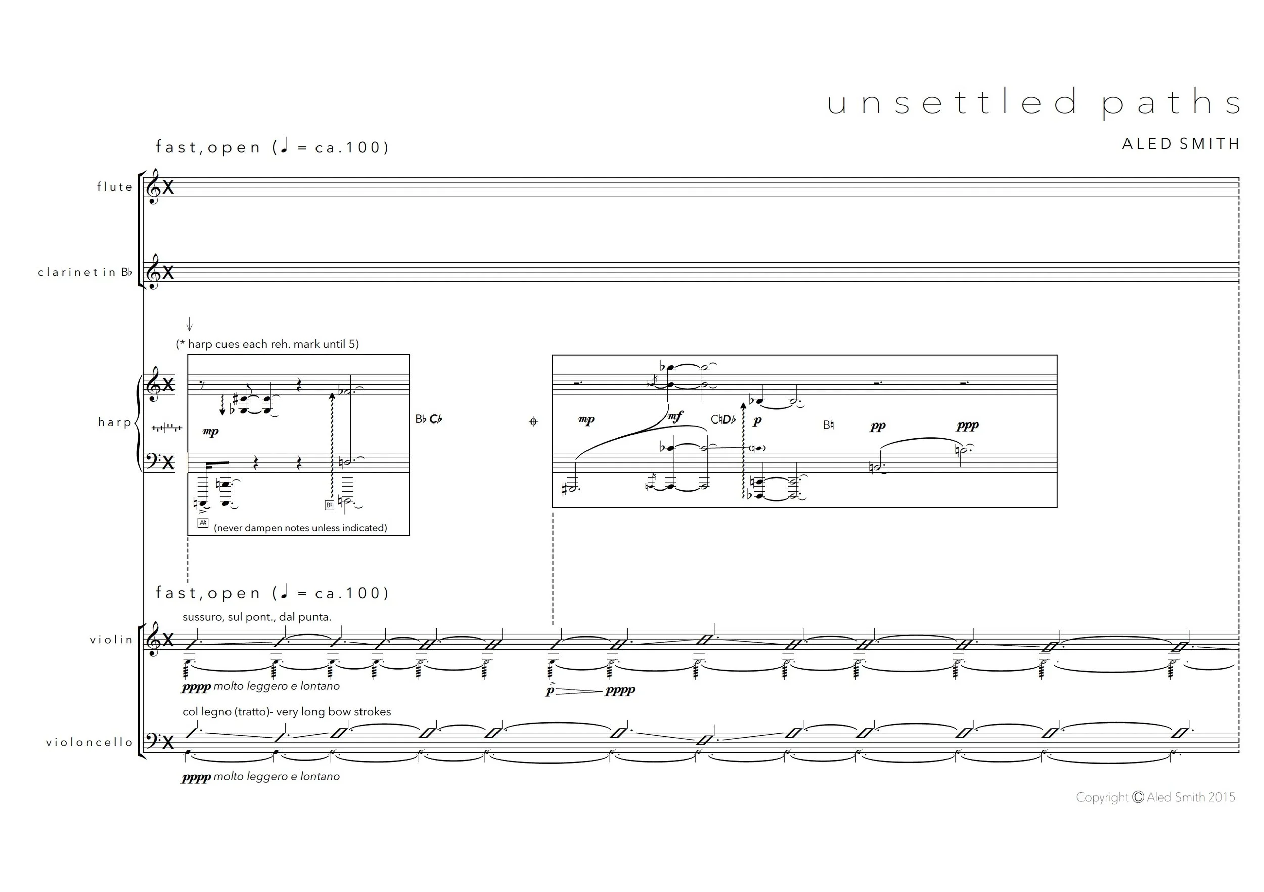 unsettled paths (2015)