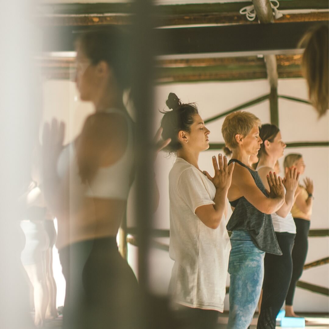 Morning Sadhana ☀️@casapacodilhas 

#yogaretreat 
#portugal 
#portugalretreat 
#inspiroyogaretreats 
#yogateacher 
#casapacodilhas