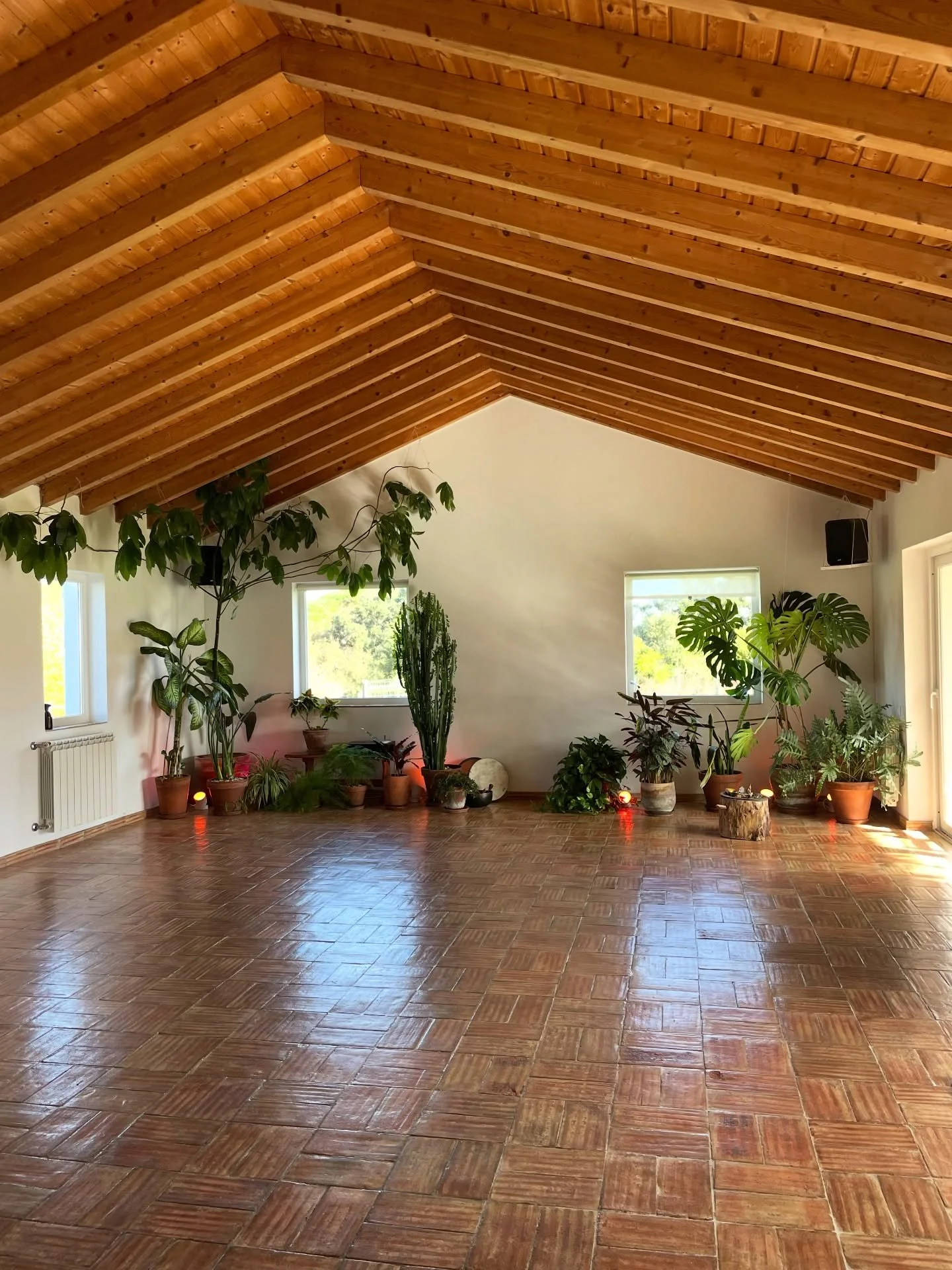 We. Can&rsquo;t. Wait! 

In just over a week we&rsquo;ll be welcoming people from Germany, Luxembourg, Netherlands, Denmark, Sweden, Italy and Switzerland - to celebrate new years here with us @cocoonportugal 

If spending a week of reflection, daily