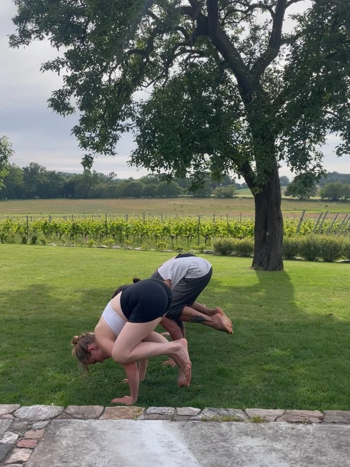 Each summer since 5 years now, we offer a retreat in south west of Sweden. At the prime time of the year. 

When there&rsquo;s almost no darkness. Light from 4am-11pm 👌🌼 

When nature is in full bloom. 

Scandinavia at its best! 

The core of our r